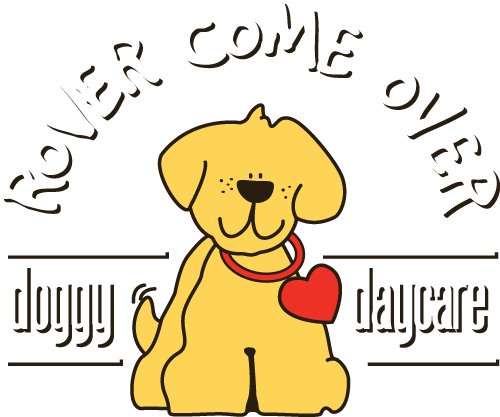 Rover Come Over Doggy Daycare