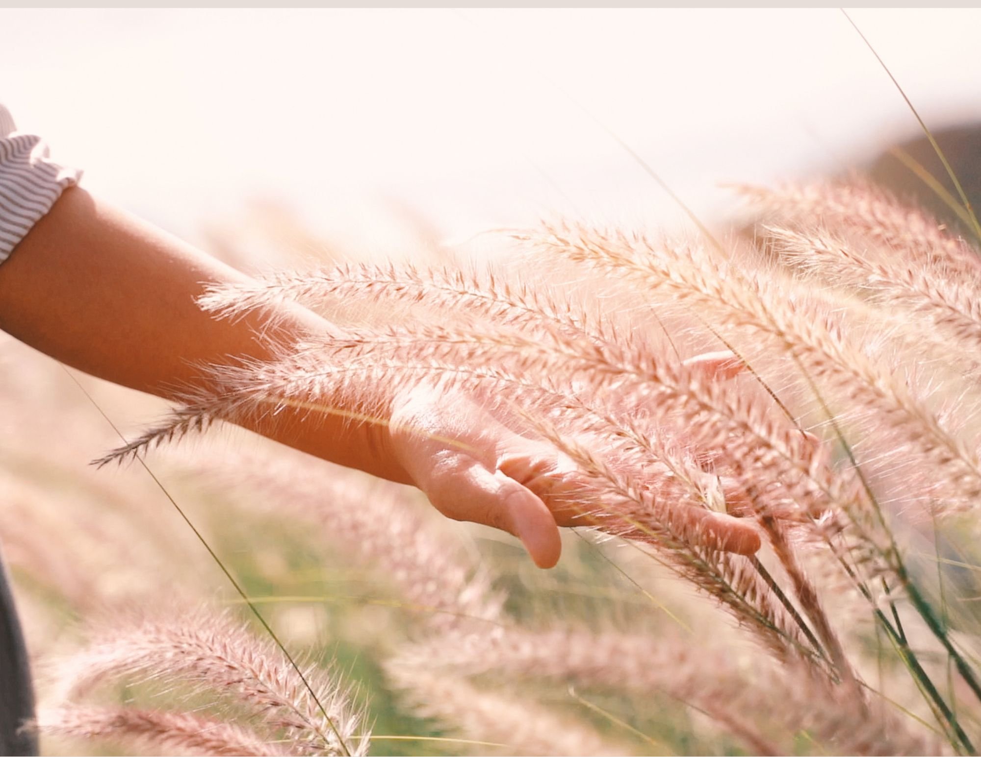 Group Embodiment Workshops