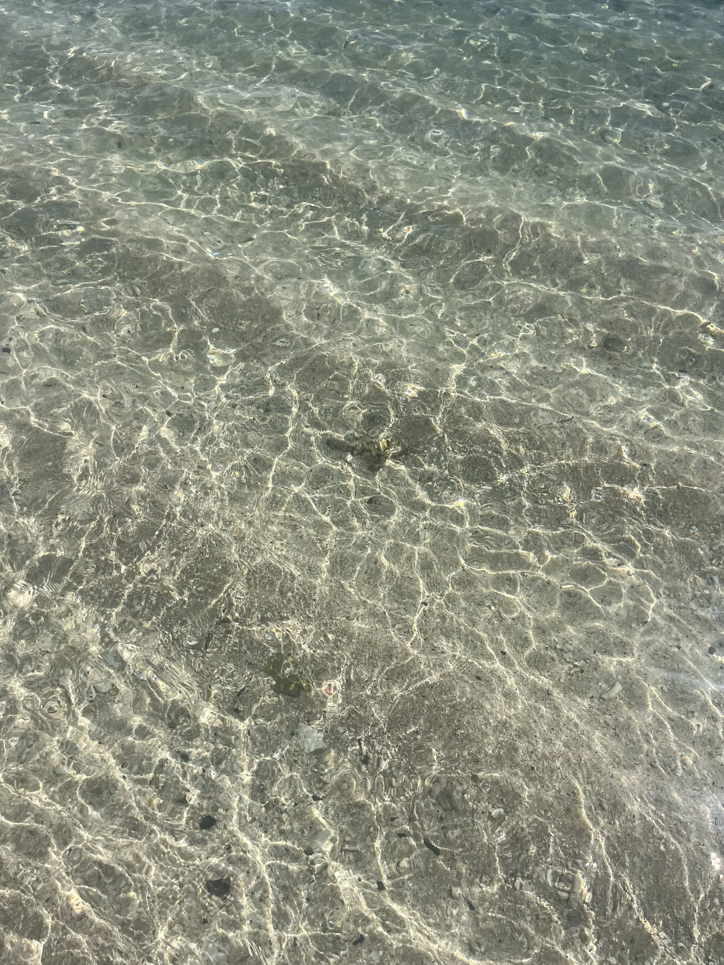 IMG_9695.jpeg