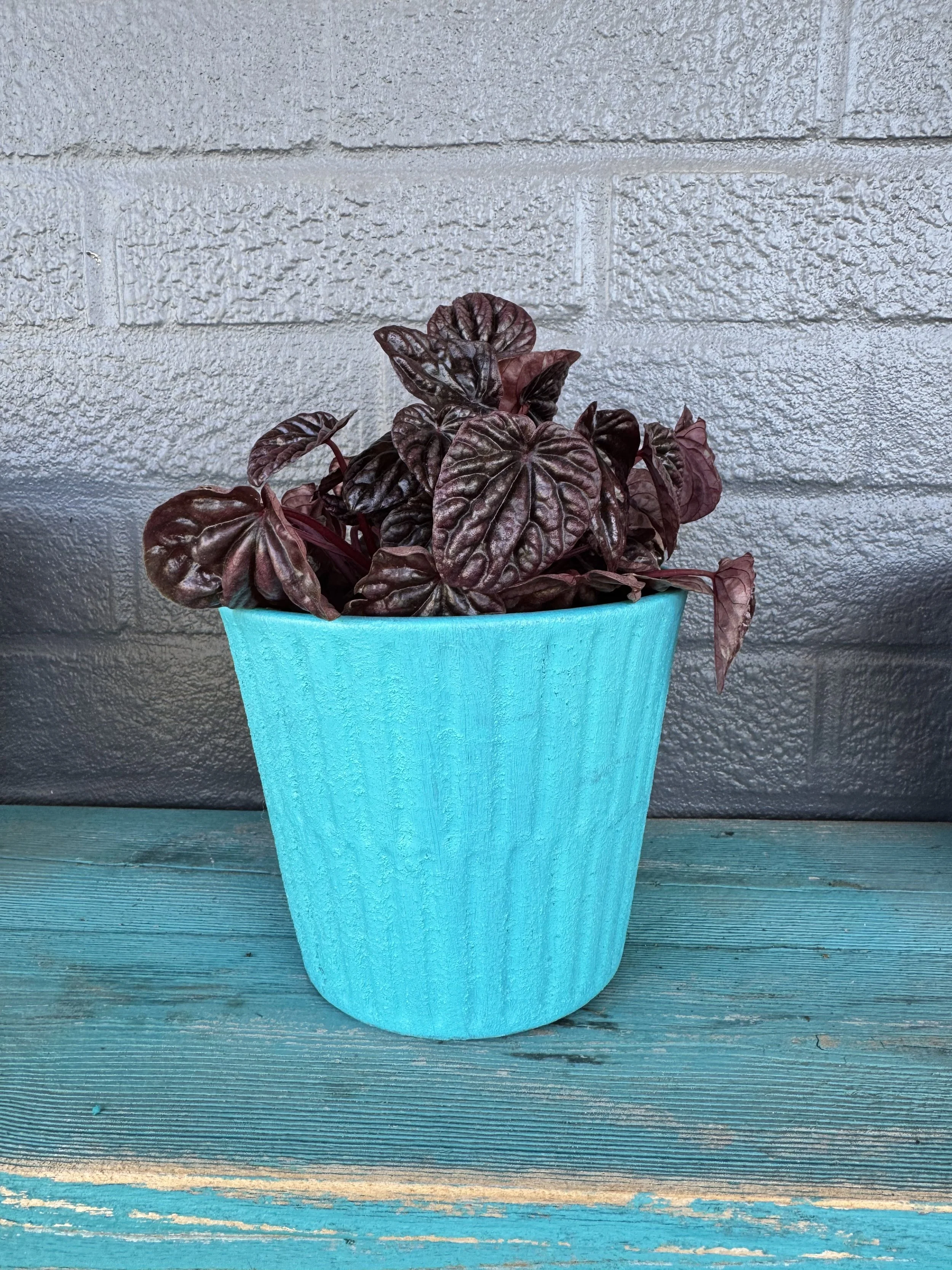 Green Two-toned small planter — Second Chance Pots