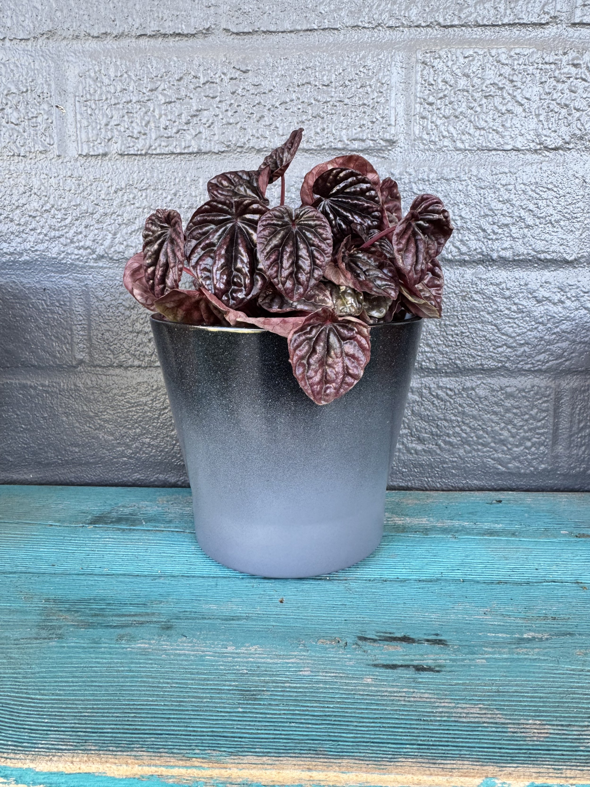 Small Grey and Black Planter