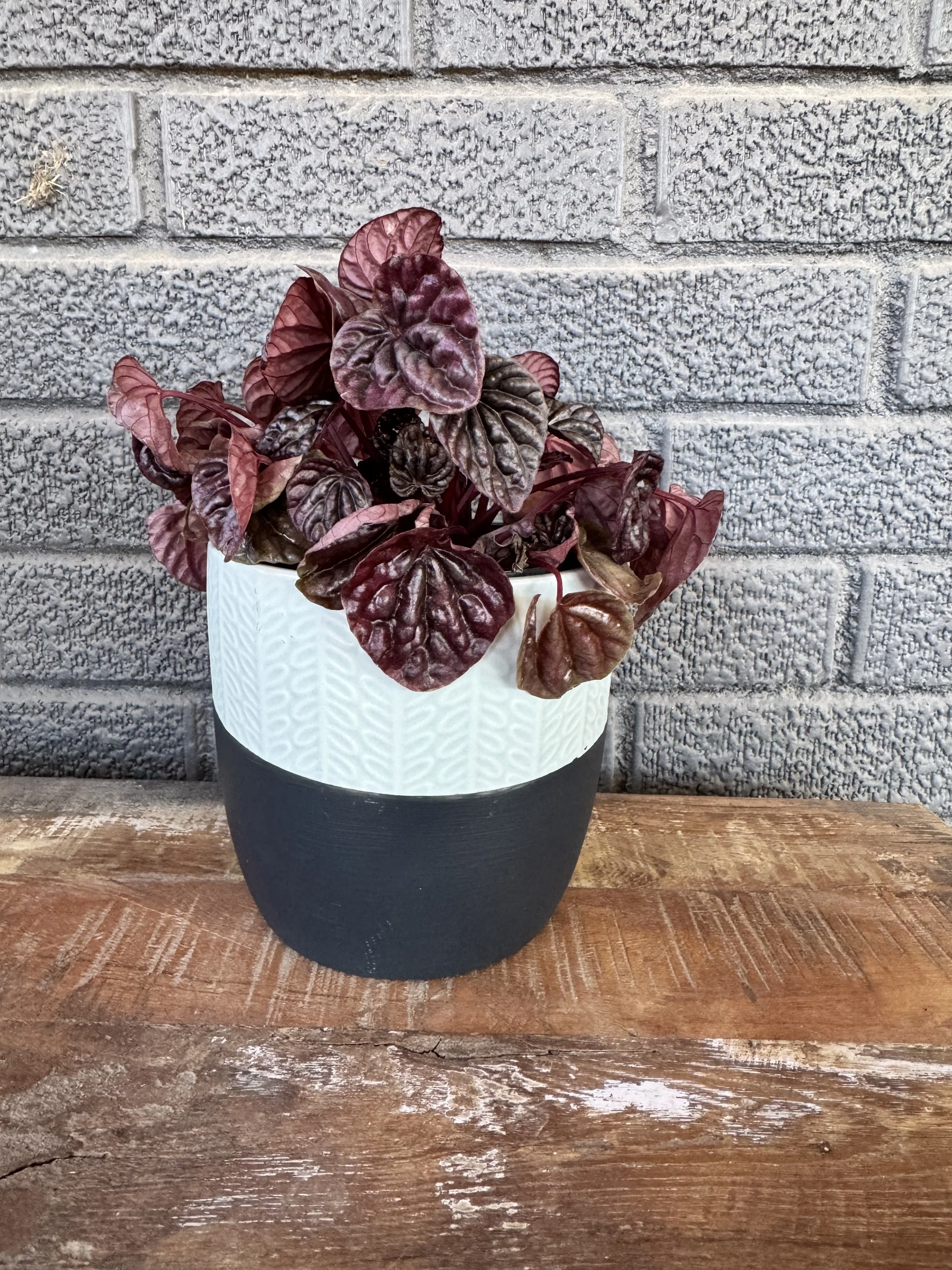 Two-toned blue/grey small planter