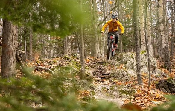 More Than a Local Favorite: Building Digital Reach for a Small-Town Bike Shop