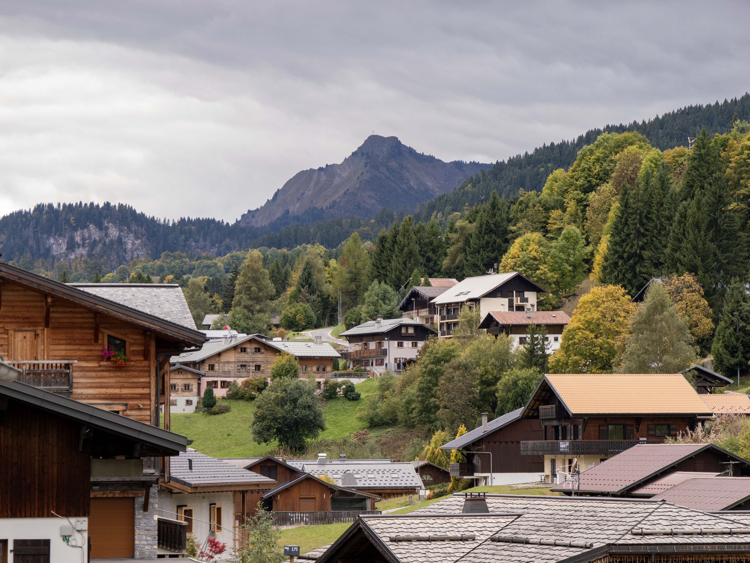 P1643664 2.JPG