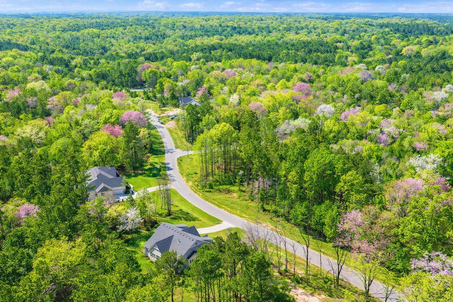 An aerial view of a suburban neighborhood surrounded by lush green trees with some flowering trees showing pink and white blossoms, a winding road, and several houses with gray roofs.