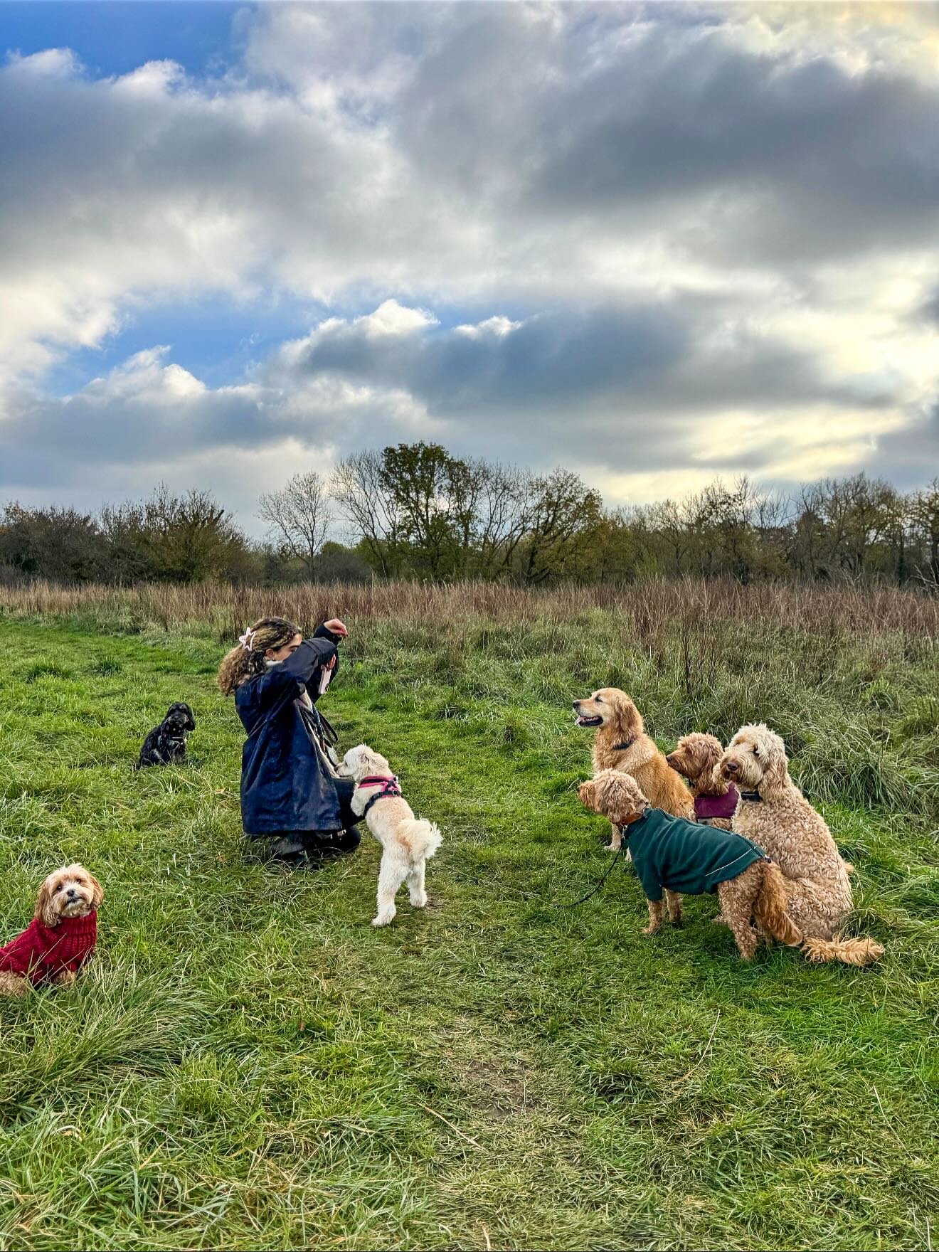 First 2026 weekly roundup! ❄️🌞