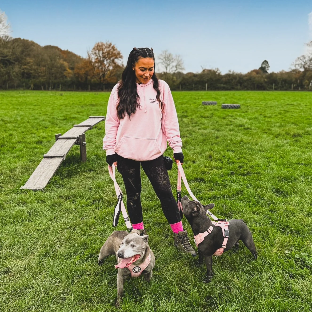 Dogs, Detours, and a Degree I Don’t Use