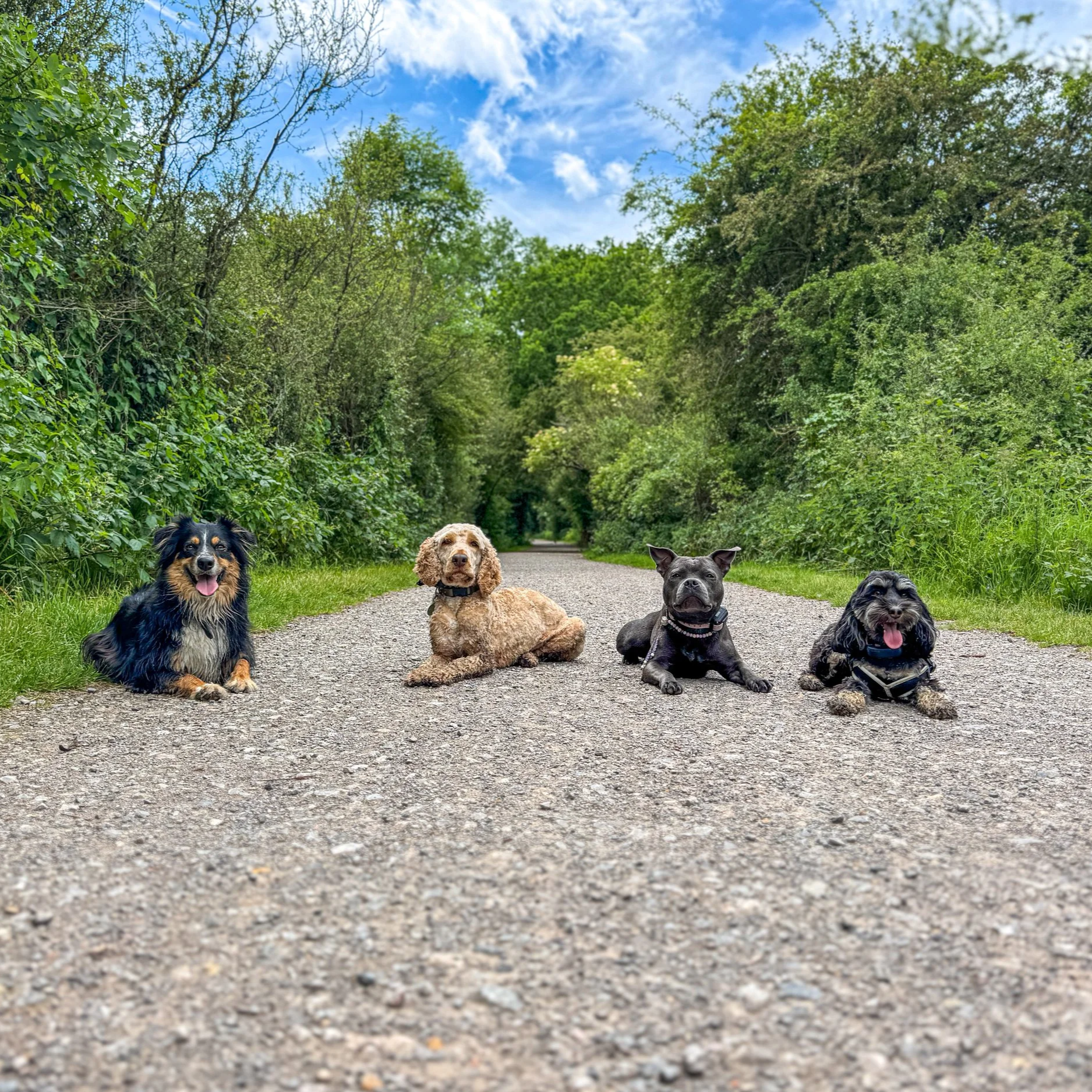 Structured Group Walks. Why?