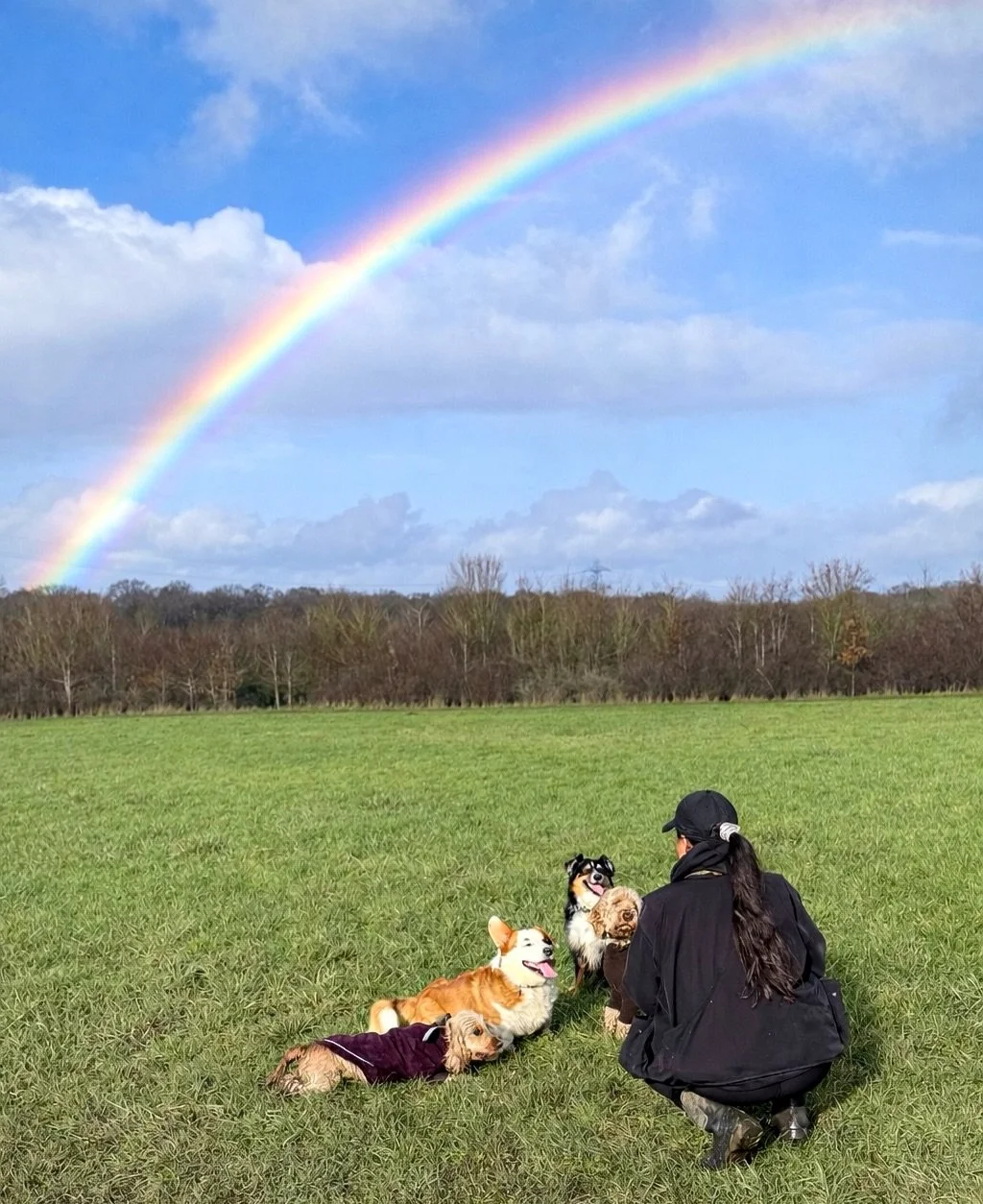 Weekly round up 🌈📸