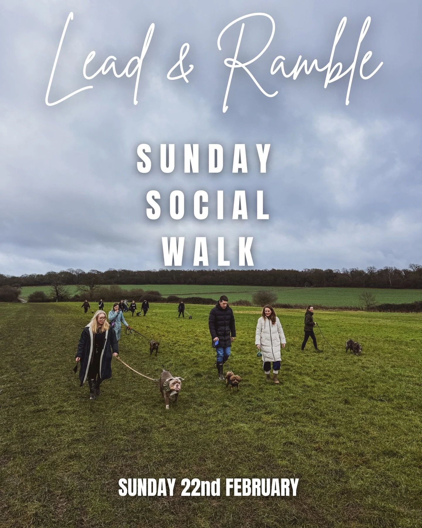 🐾 Sunday Social Walk 🐾
📅 Sunday 22nd February 
🕙 10am &ndash; 11am
📍 Ockham Common

💷 &pound;10 | Cash Only

These walks are designed to be relaxed, friendly, and purposeful. A chance to enjoy a calm, on lead walk together, help dogs practise n