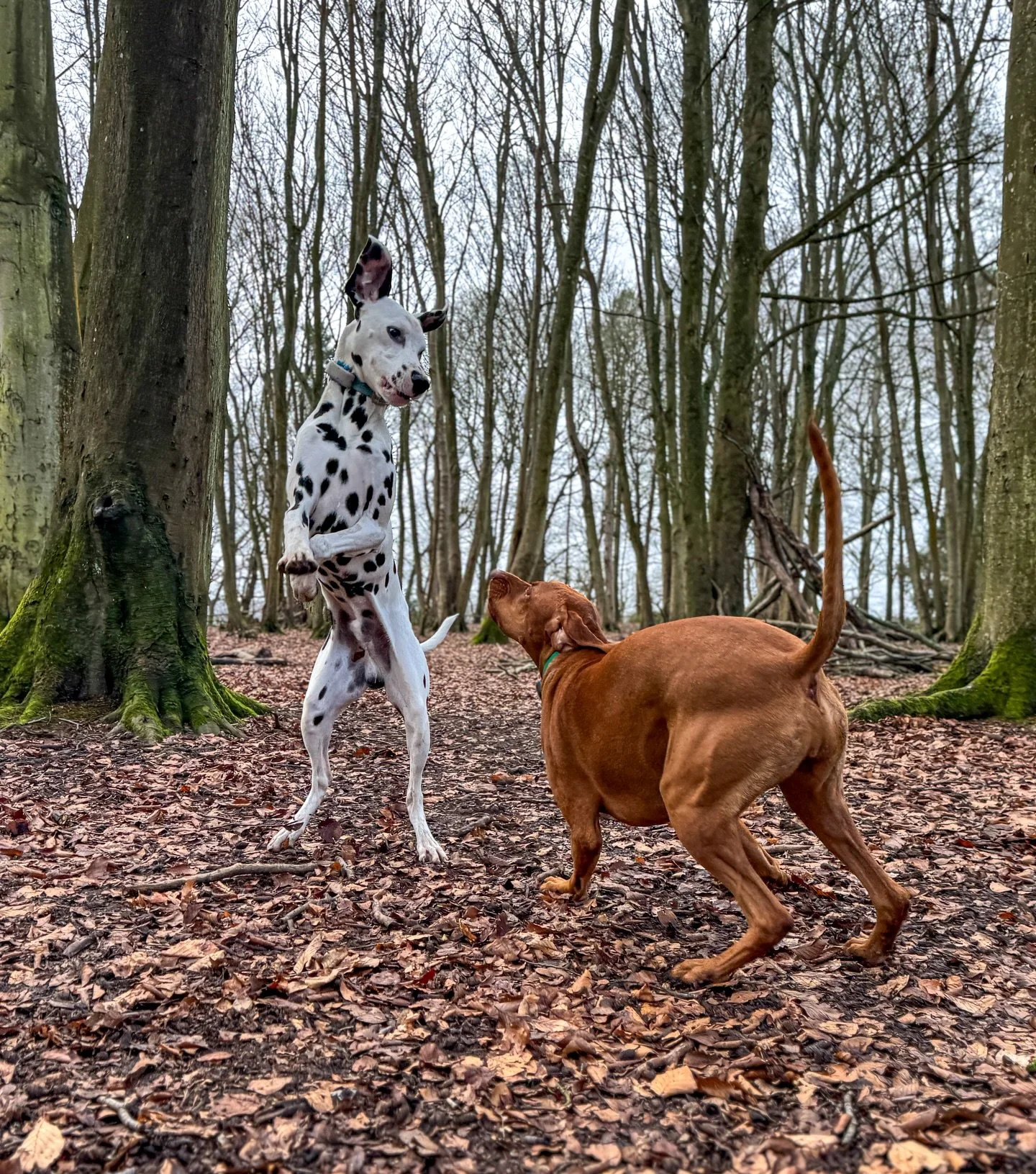 Everybody was Kung Fu fighting 🥋