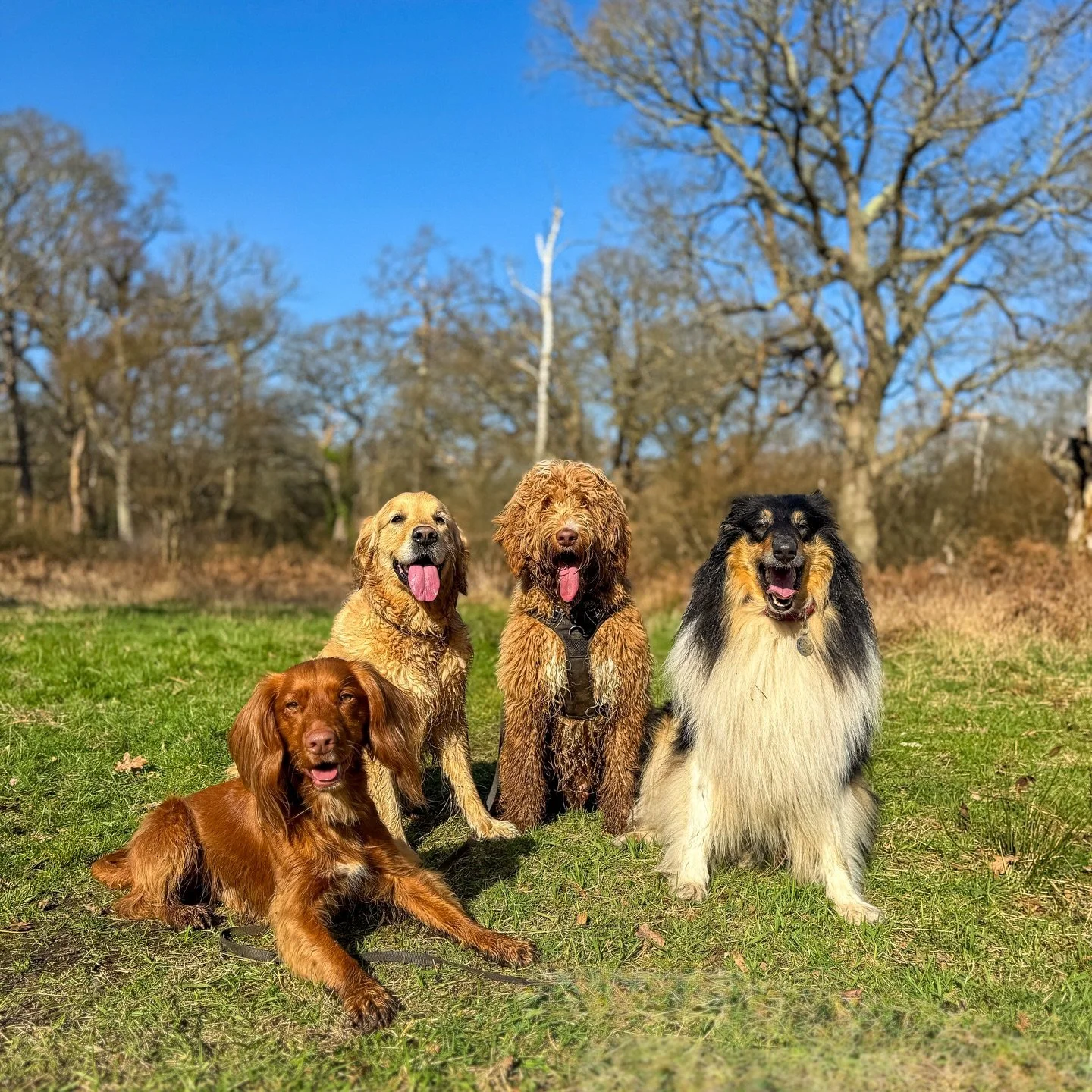 Weekly round up 📸