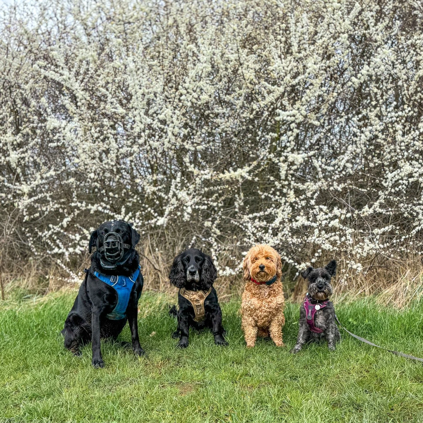 Weekly round up 📸