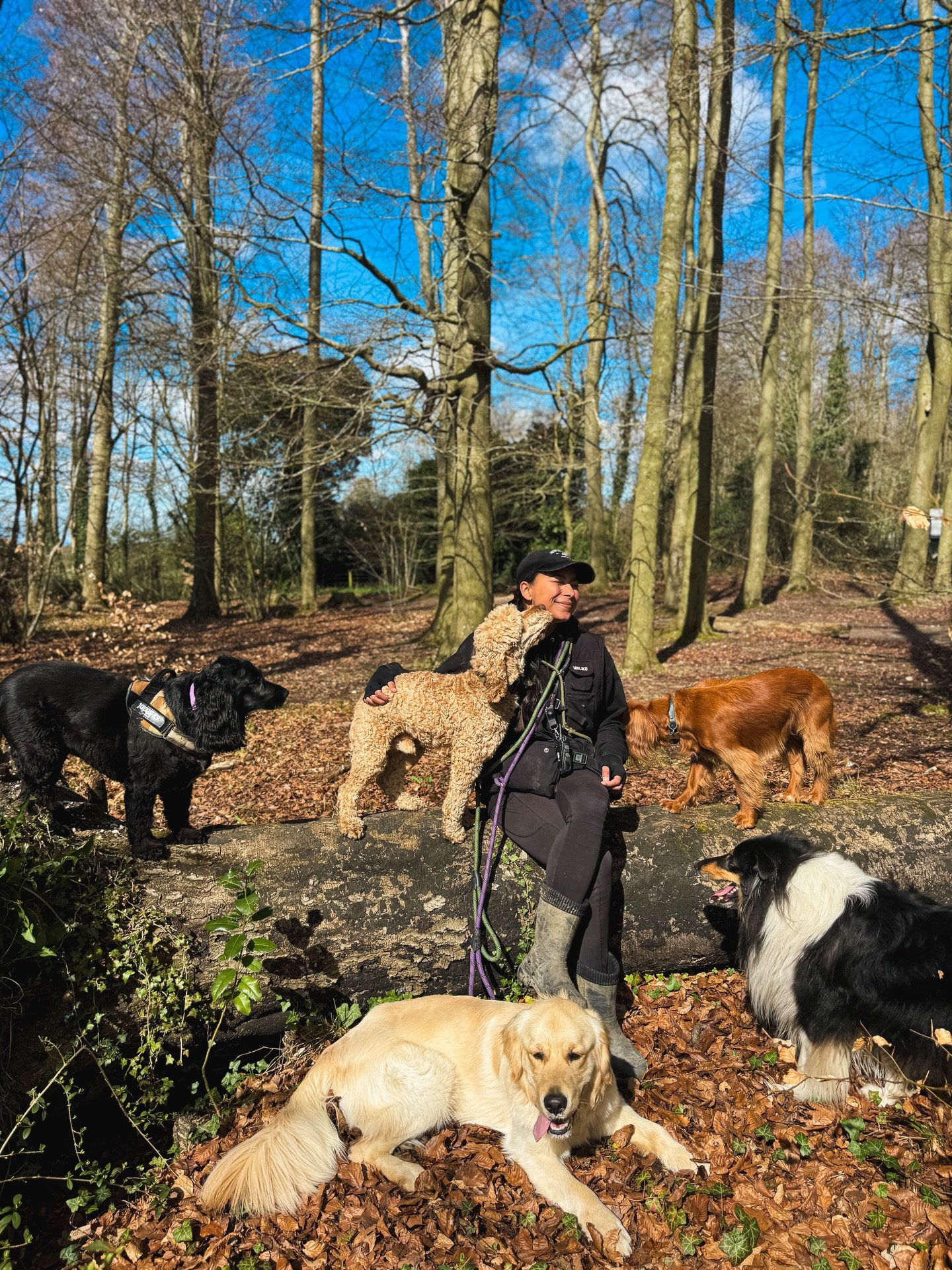 Weekly round up 📸