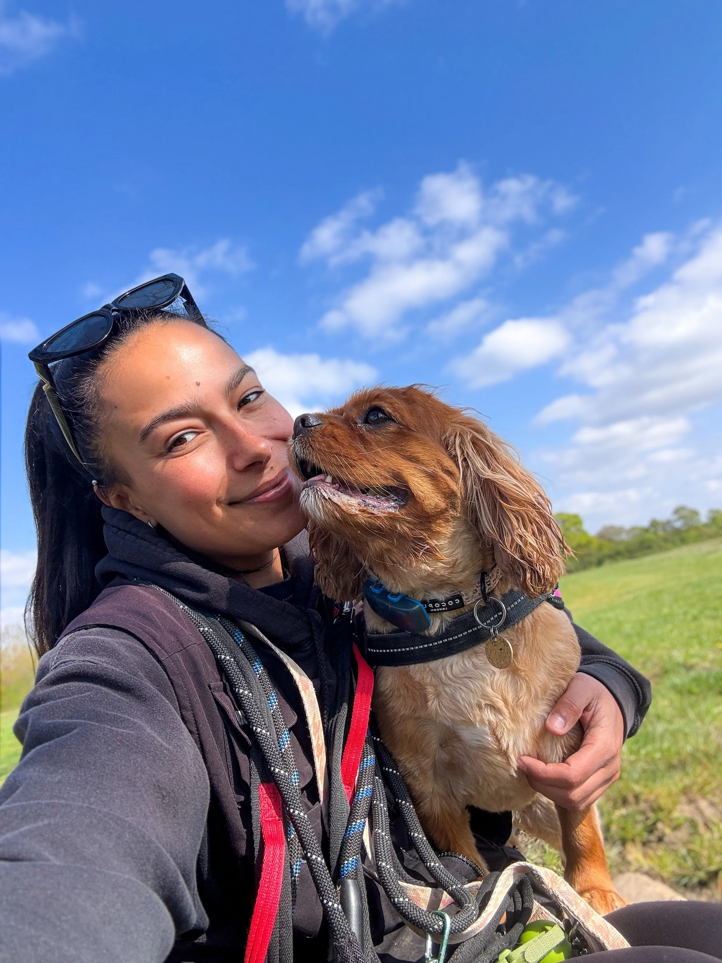 Maggie 🧡

From the tiniest little pup to the beautiful girl you are now&hellip; what a journey it&rsquo;s been. You first joined us to build your confidence, and over the years we&rsquo;ve had the absolute pleasure of watching you truly come into yo