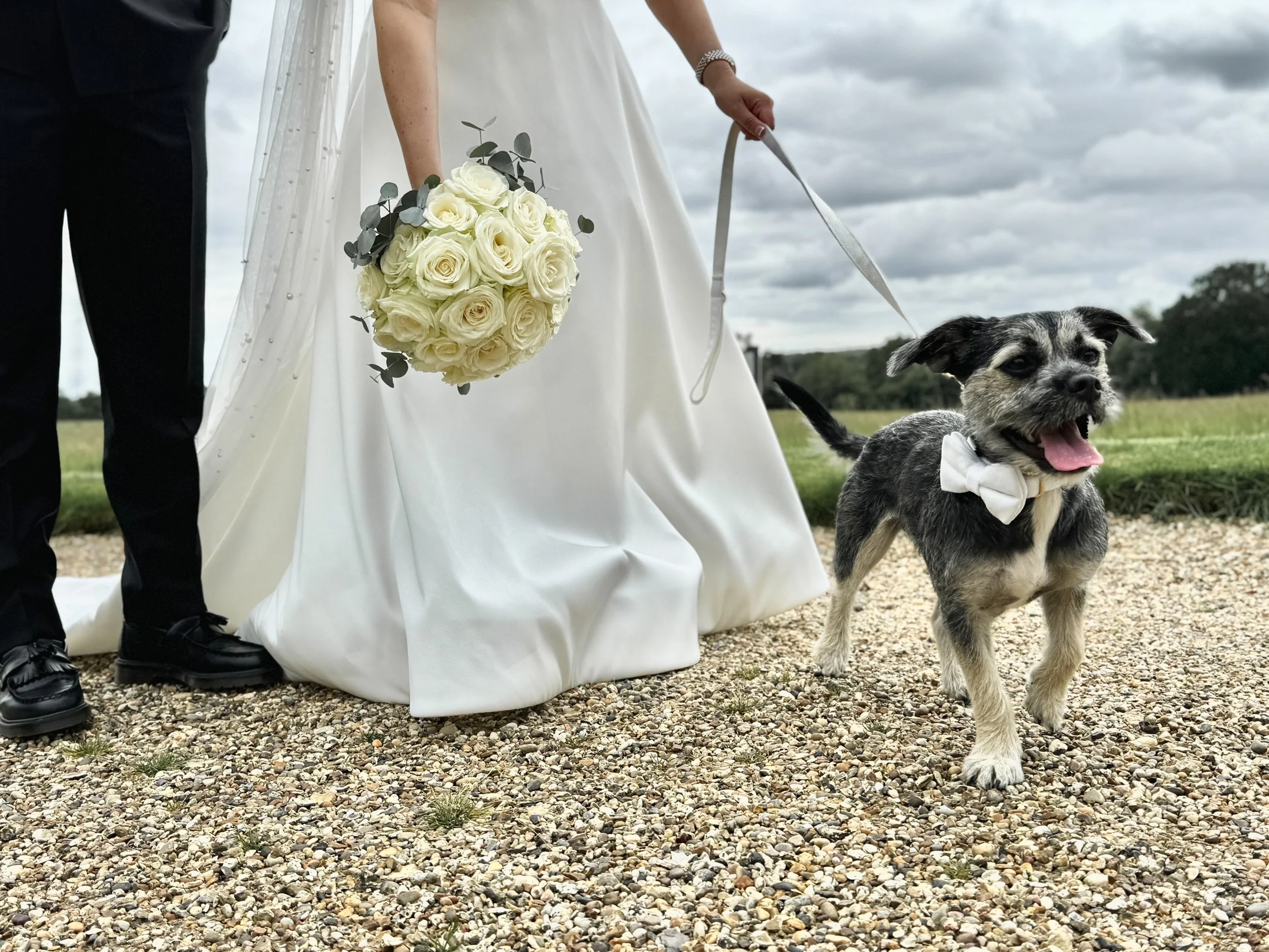 A bride and groom holding a bouquet of white roses in a field, with a dog wearing a white bow tie.