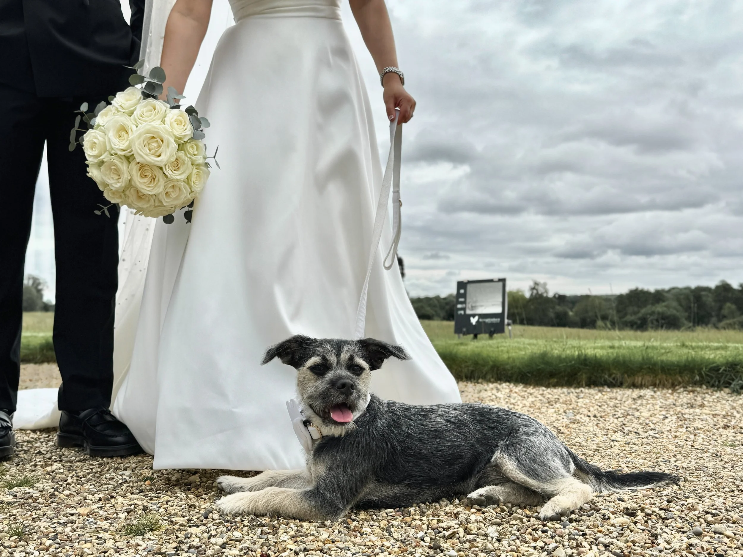 A puppy laying on pebbled ground with a wedding couple standing behind, the bride holding a bouquet of white roses, the groom in a dark suit, and the bride in a white wedding dress, outdoors on a cloudy day.
