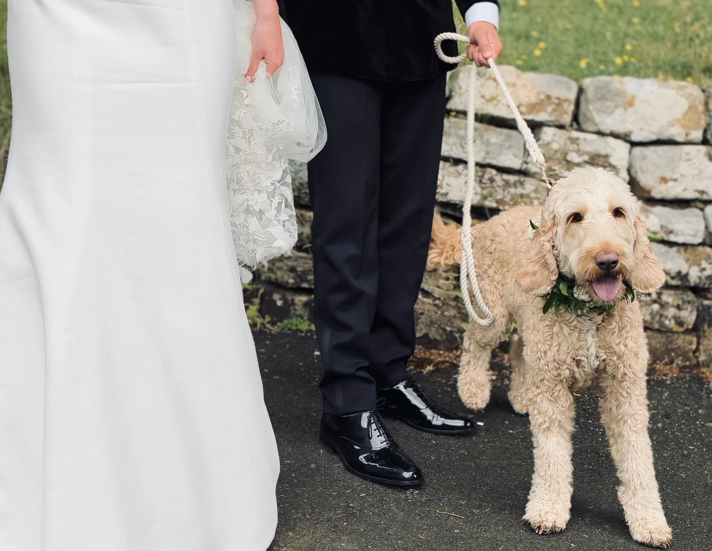 Bride in white dress holding a bouquet stands next to a groom in a black suit and shiny black shoes, holding a leash attached to a happy, curly-haired dog wearing a green leafy collar.