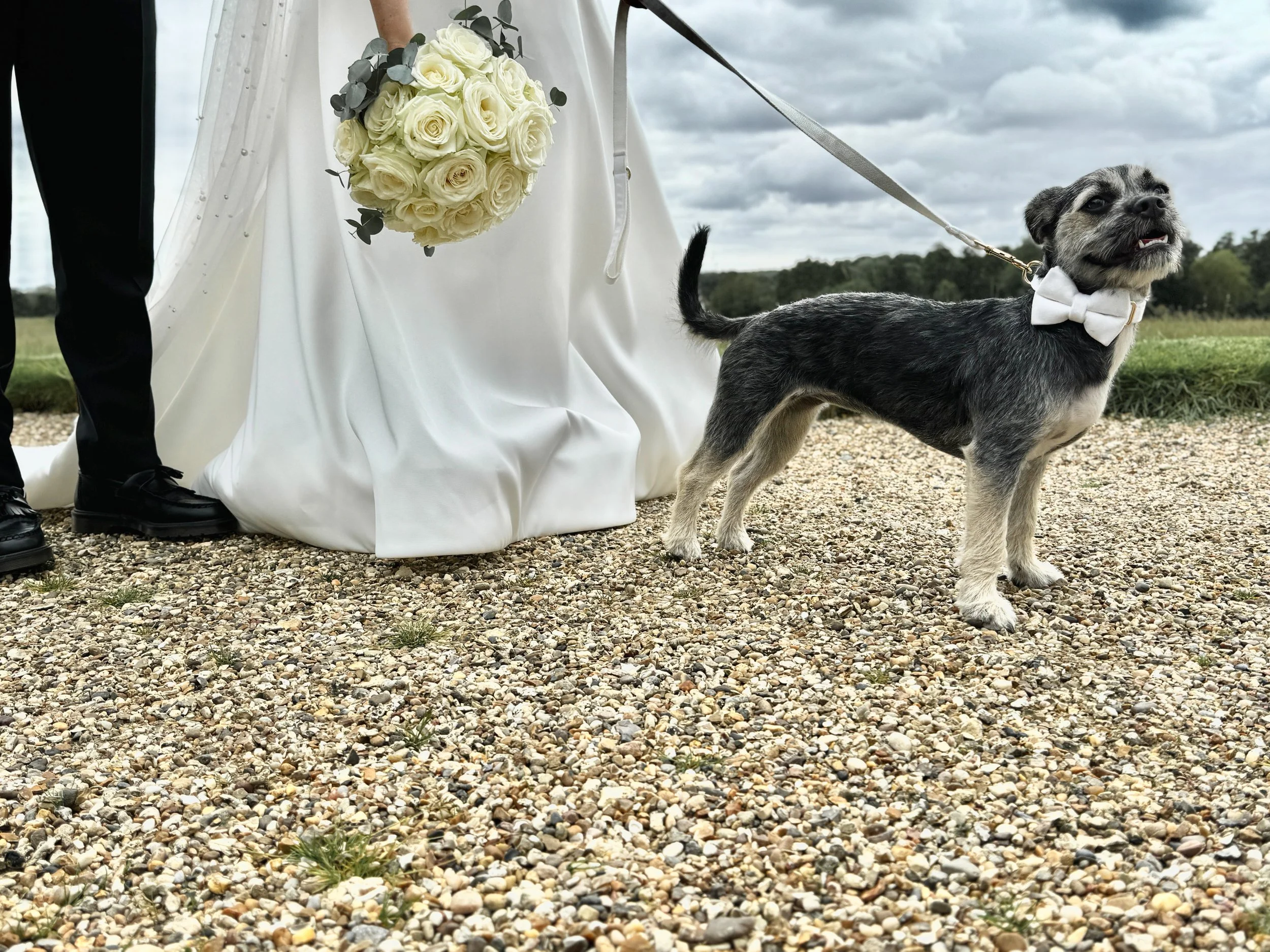 A small dog dressed with a white bowtie standing on a gravel ground, attached to a leash held by a person in formal attire. A bouquet of white roses hangs from a white cloth draped over a table, with a cloudy sky in the background.
