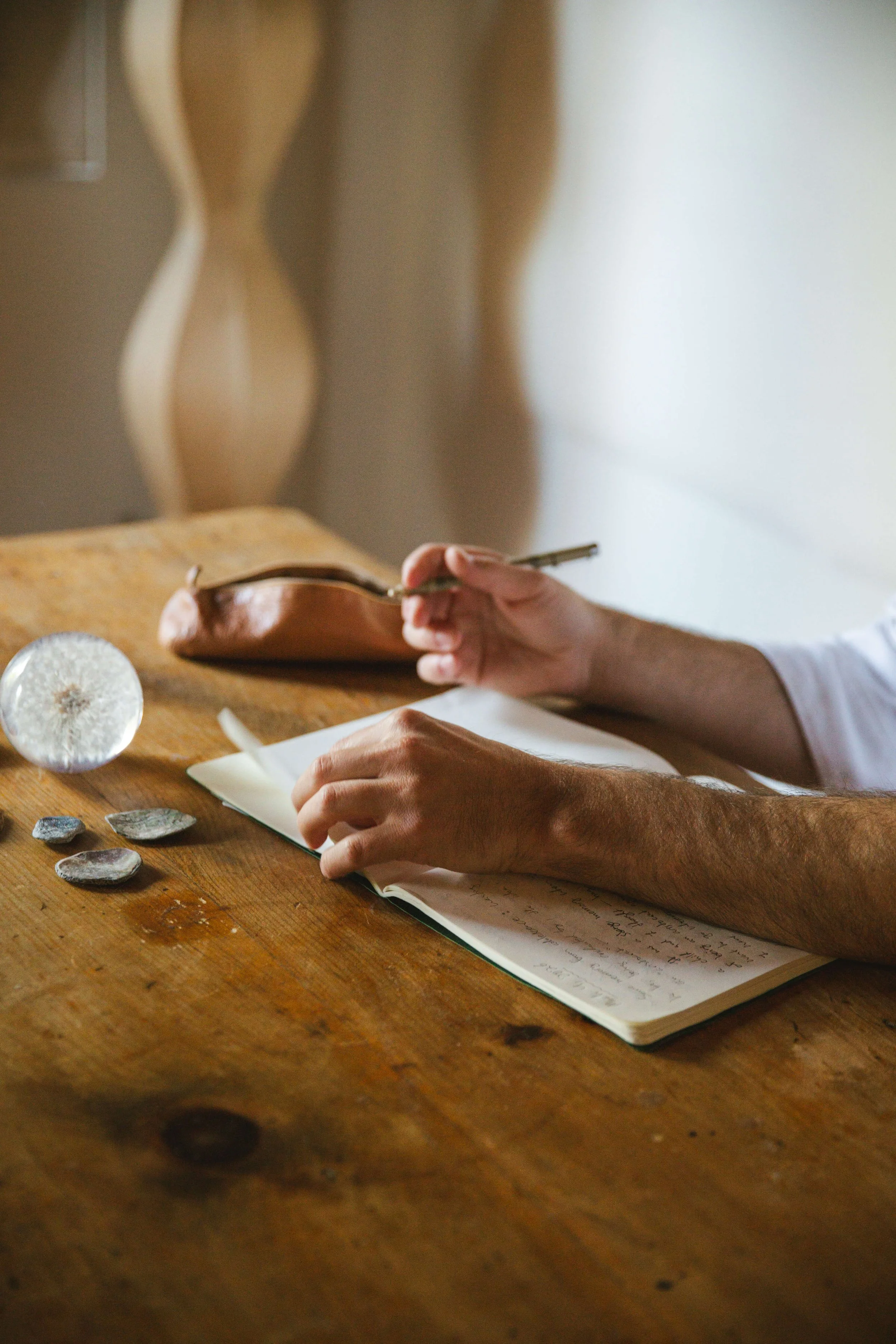 A person holding a pen and writing in a notebook on a wooden table, with seashells and dandelions nearby, and a brown leather wallet.