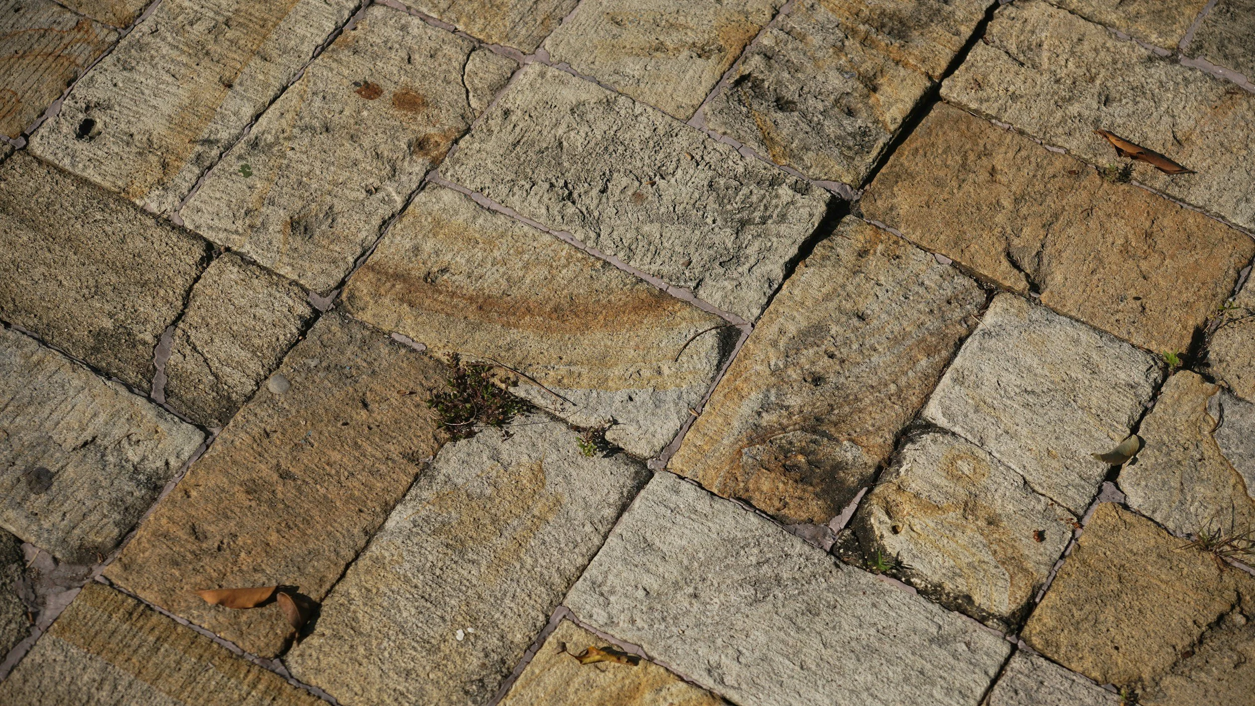 Close-up view of decorative stamped concrete featuring a realistic natural stone texture and earthy tan colors, demonstrating high-quality custom finishes for patios and walkways in Atlanta.