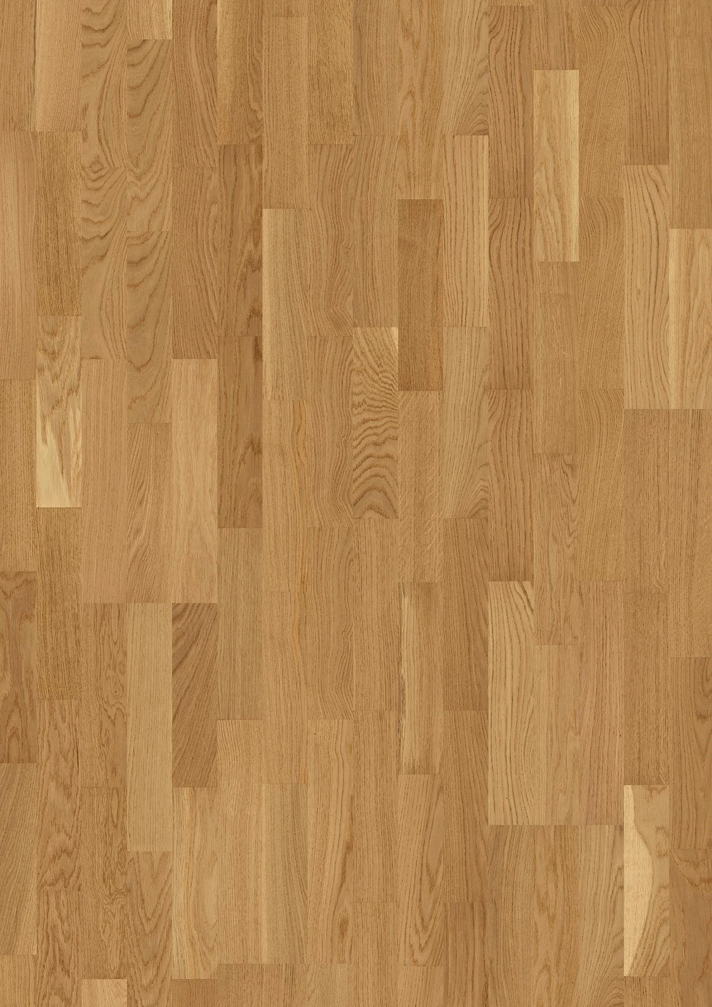 Oak Transparent Sport