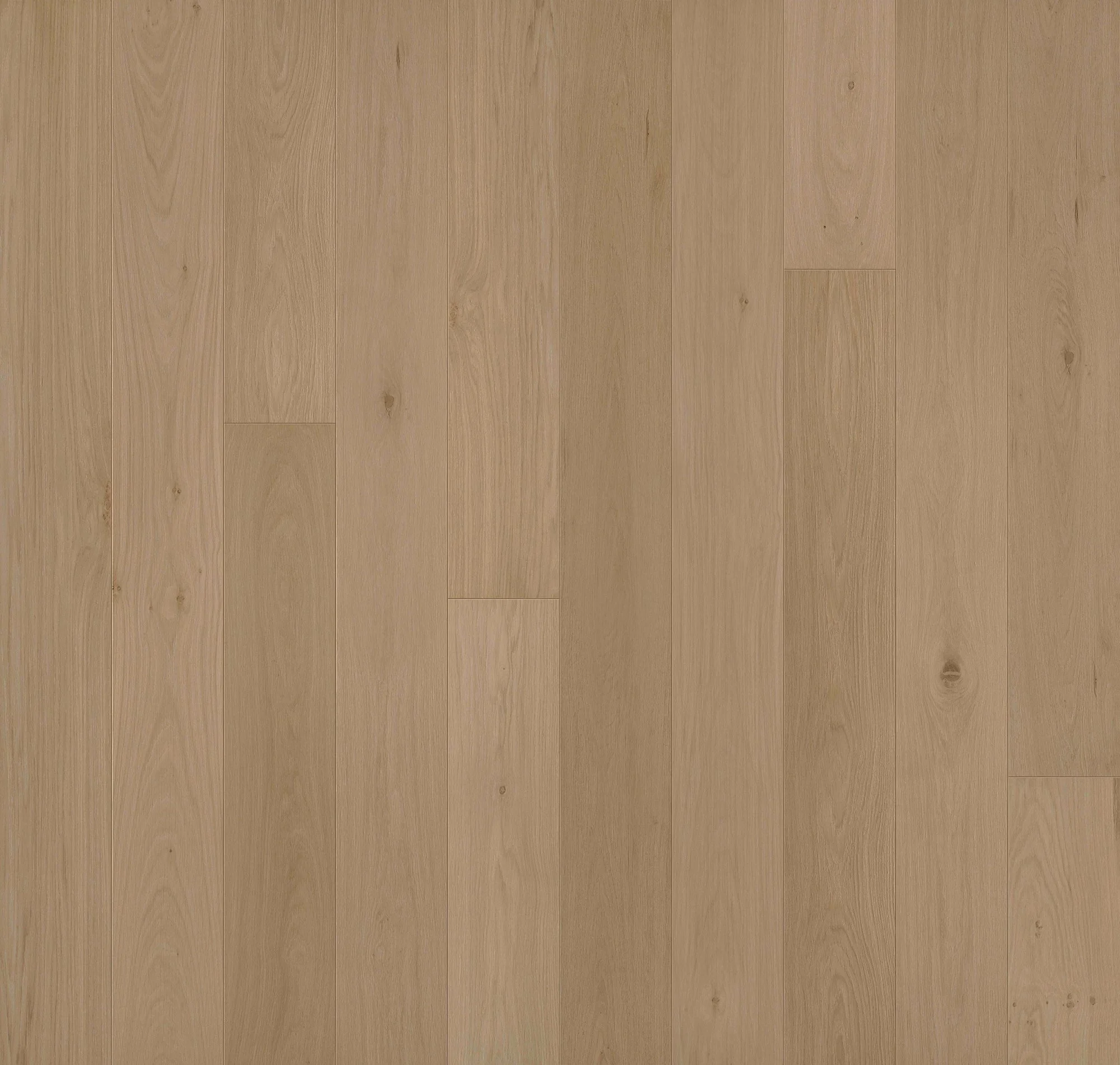 Doma-Hardwood.jpg