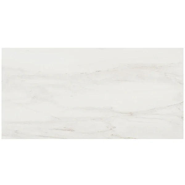 DreamStone Dolomite Snow 12x24 Matte Porcelain Tile2.webp