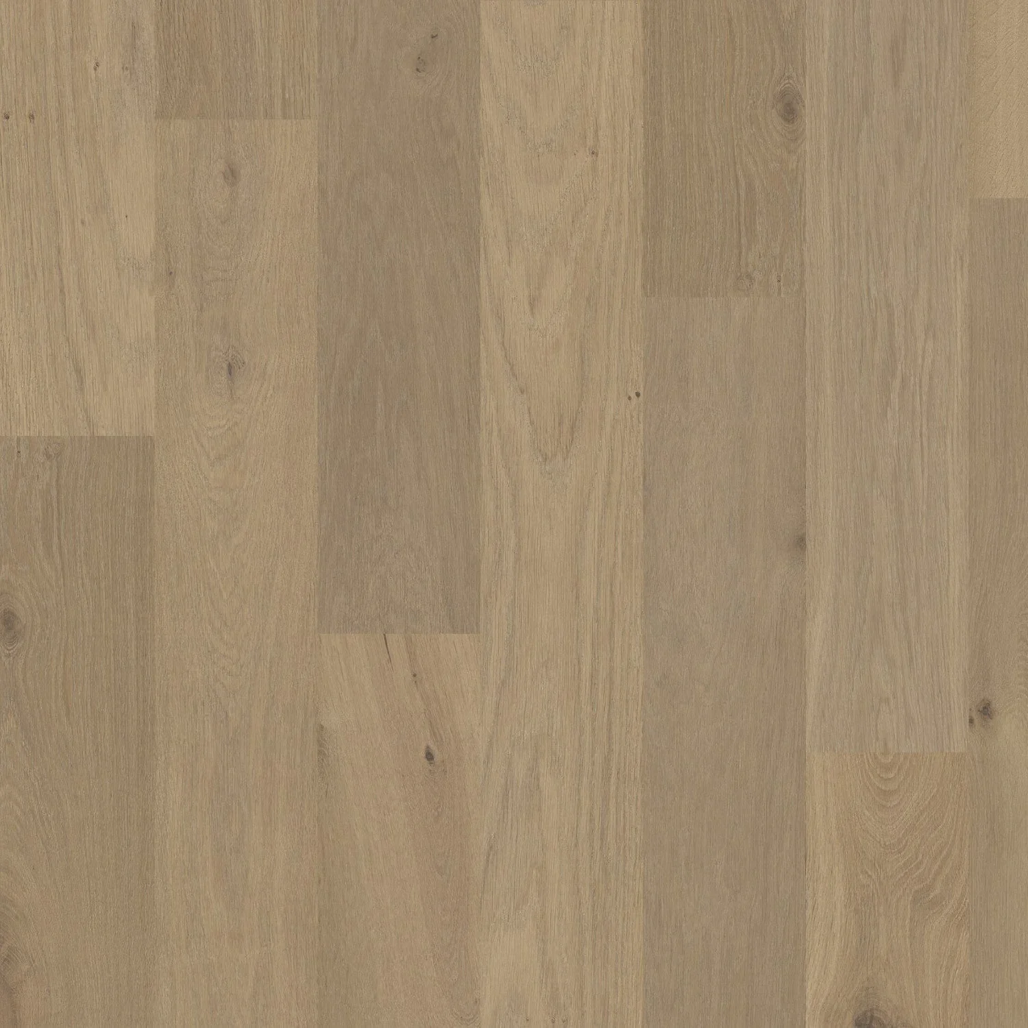 Savanna_LargeSwatchV2_1800x1800_crop_top FLAT.webp