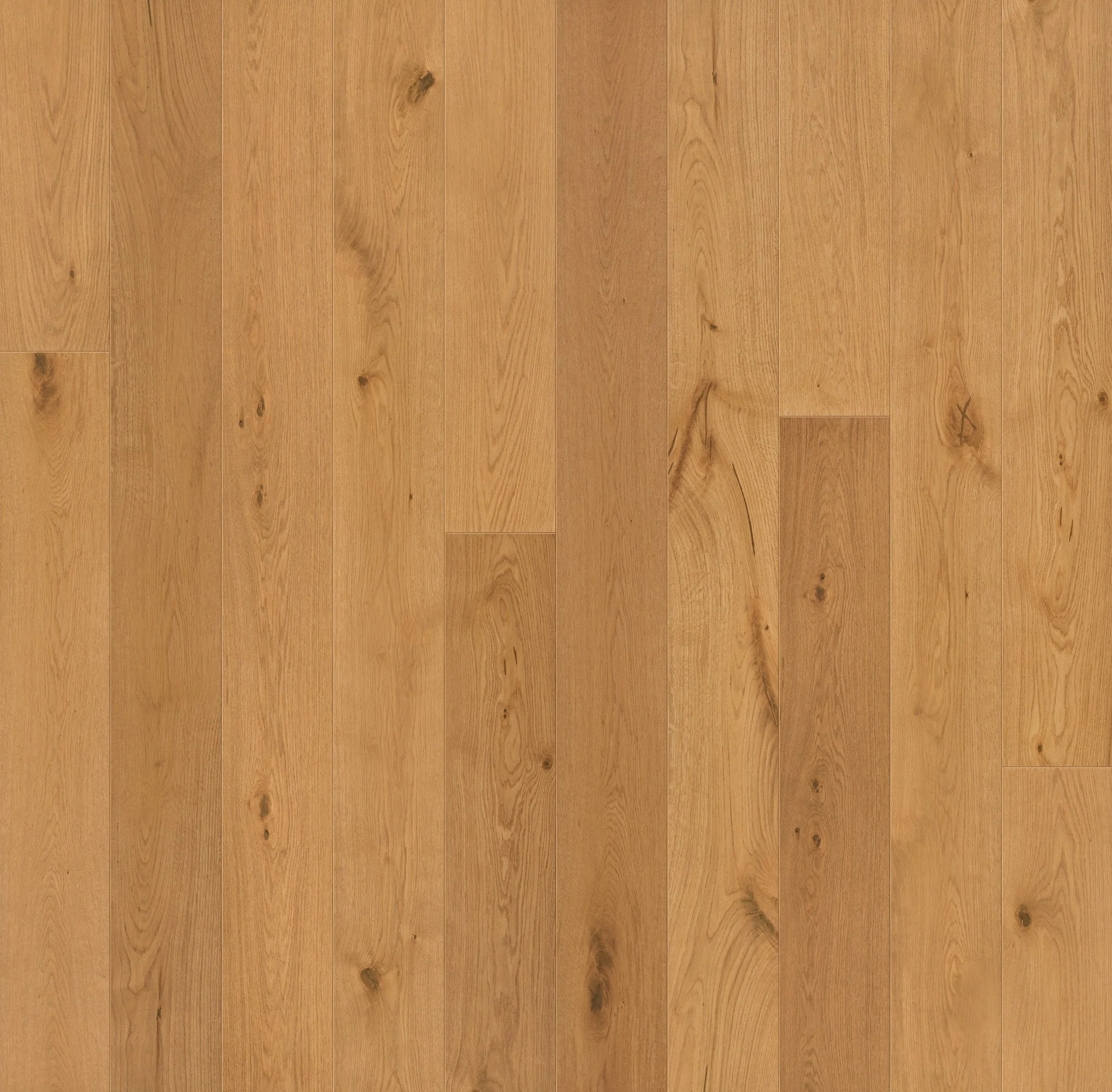 Volto-Hardwood.jpg
