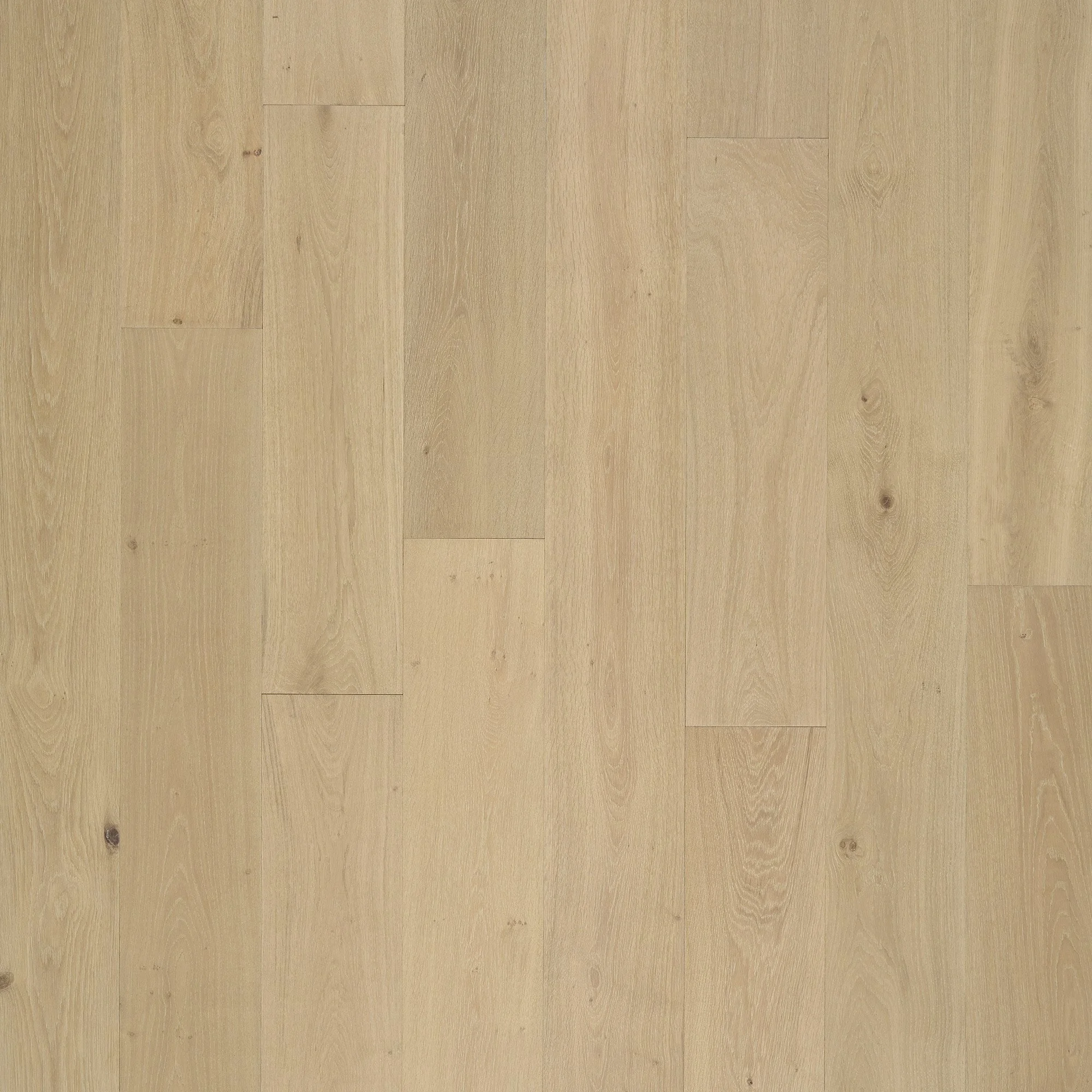 DelightfulOak-Hardwood.jpg