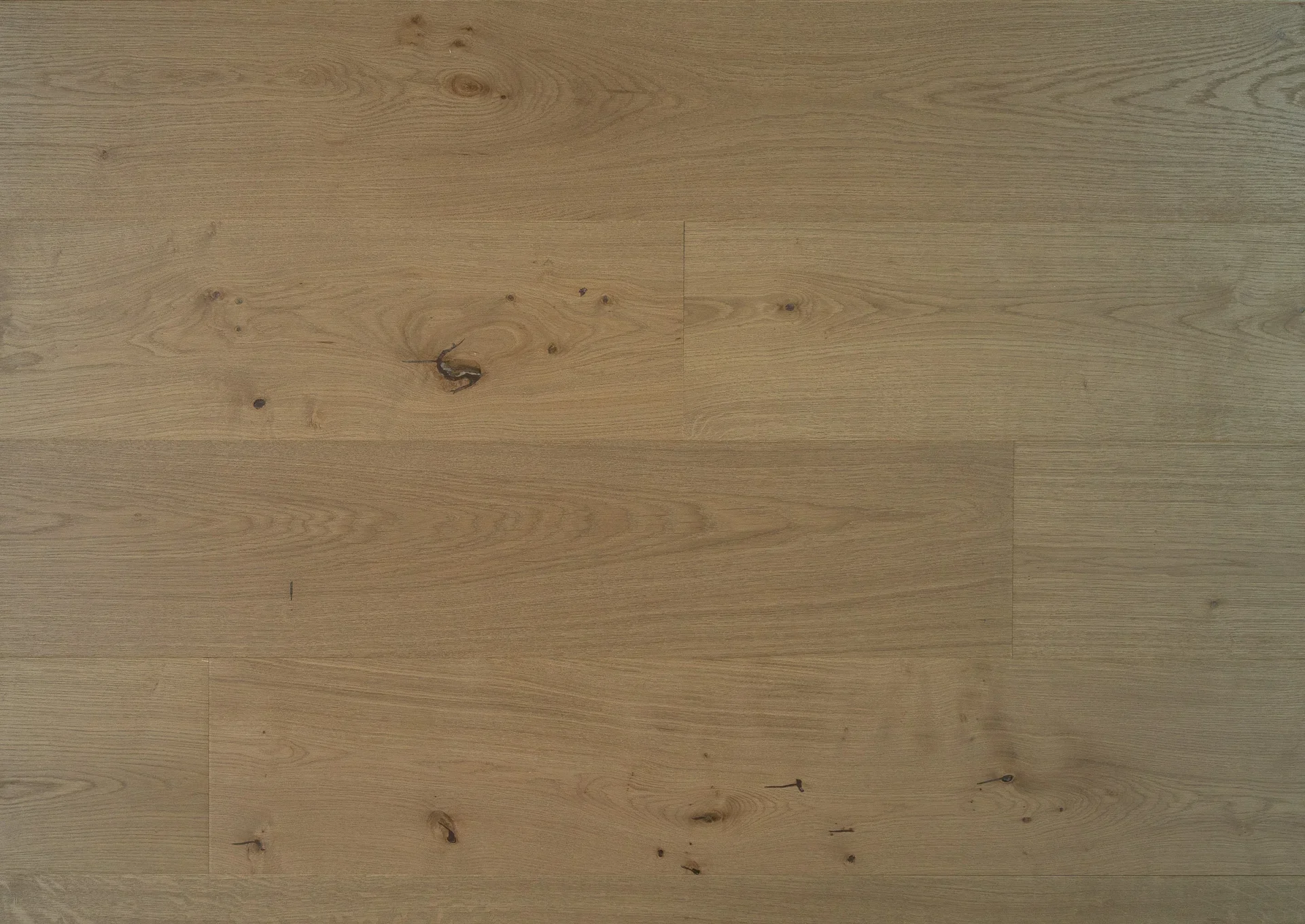 Treviso-Bene-Top-1-02 Bergamo (1).webp