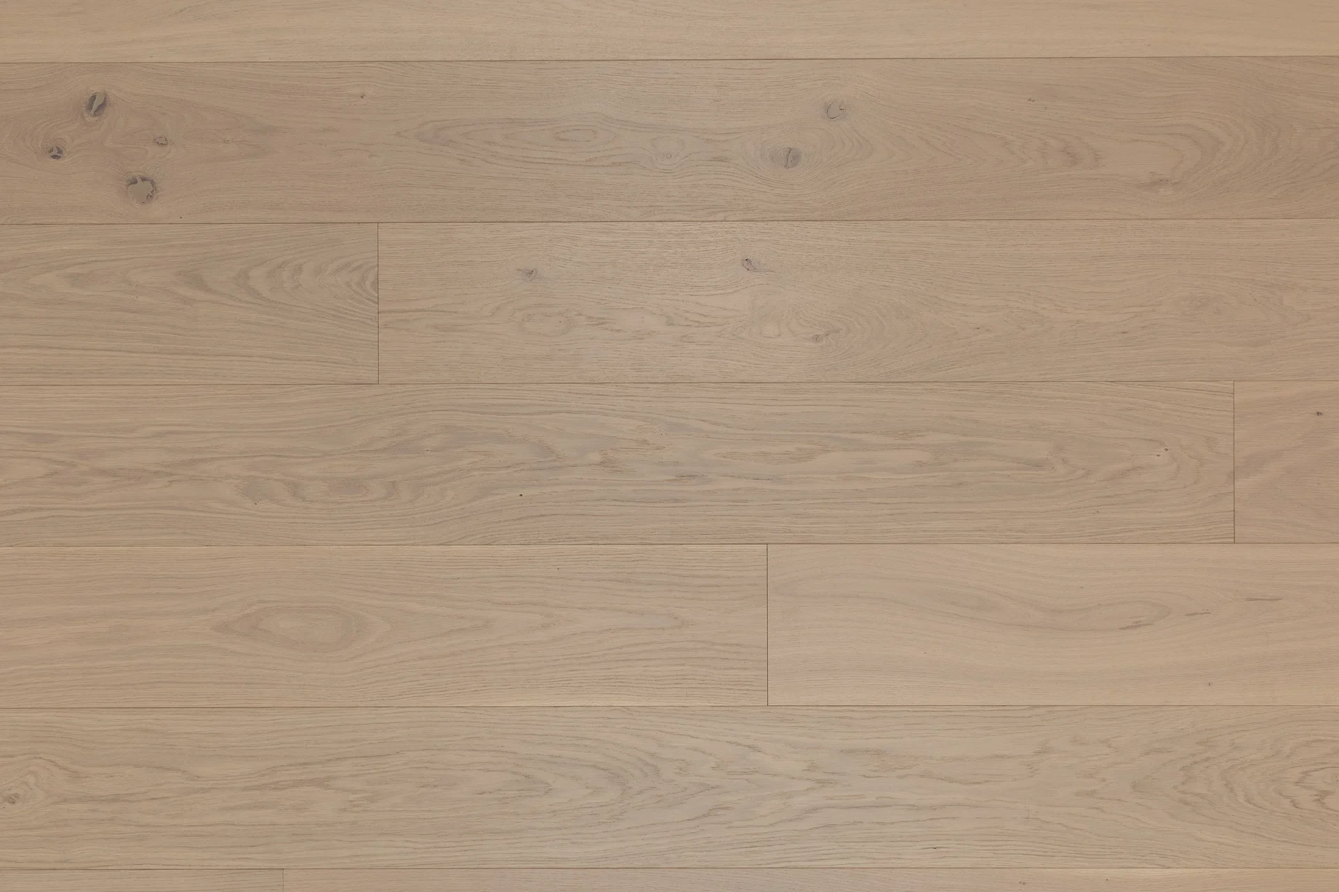 Modena-Top-01 Bergamo (1).webp