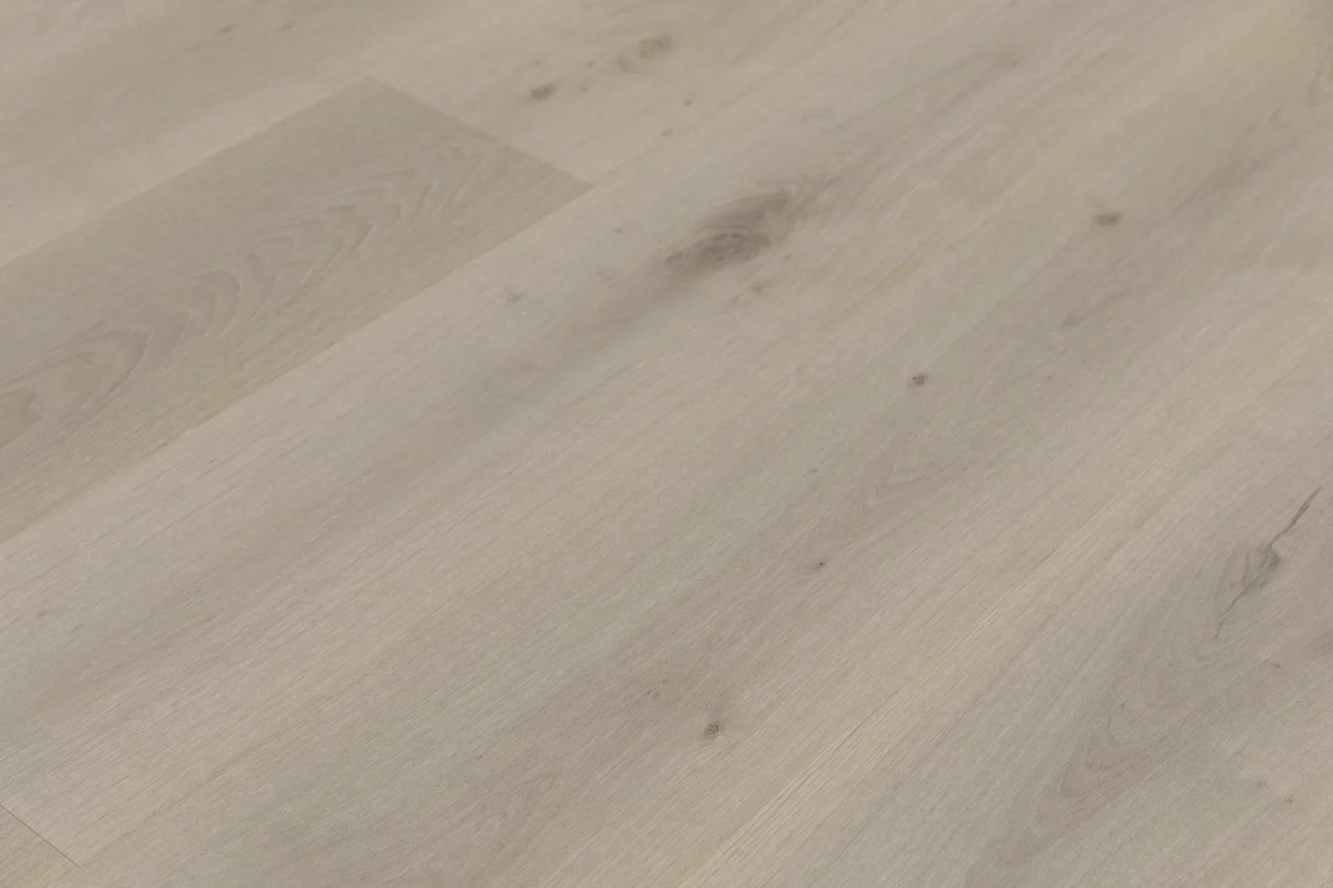 VENOSA-BENE-side Bergamo (1).webp