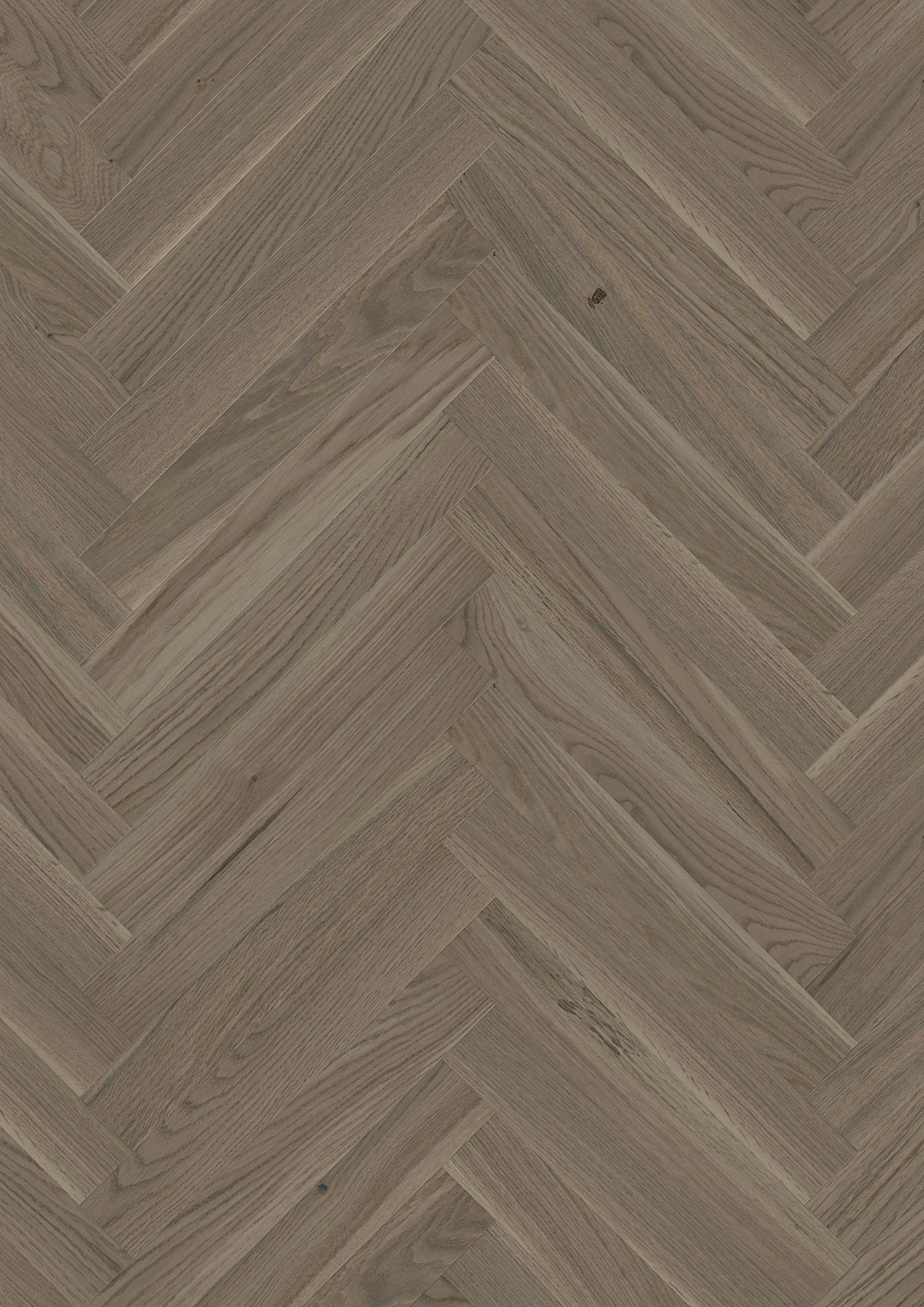 Oak Arizona Structure