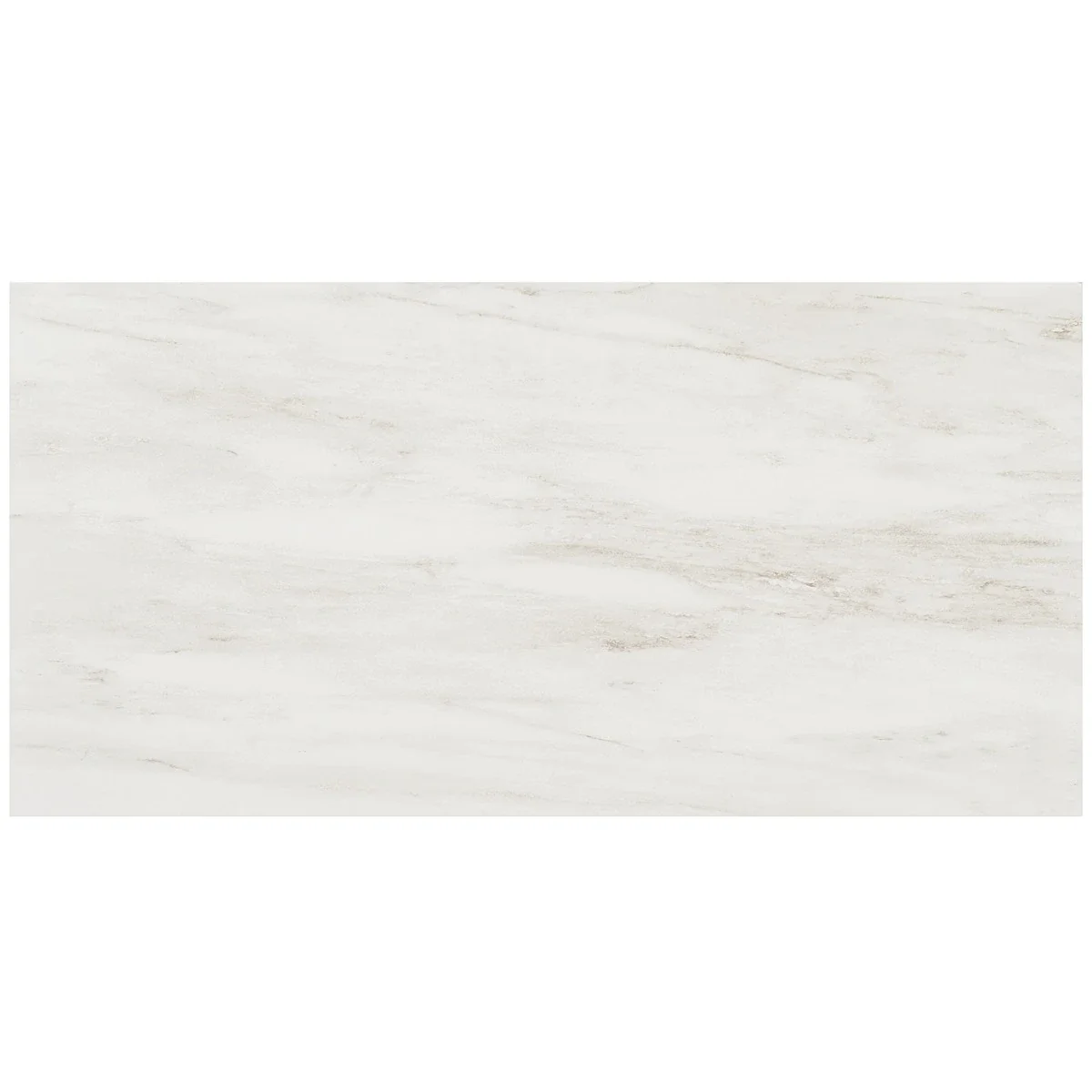 DreamStone Dolomite Snow 12x24 Matte Porcelain Tile7.webp