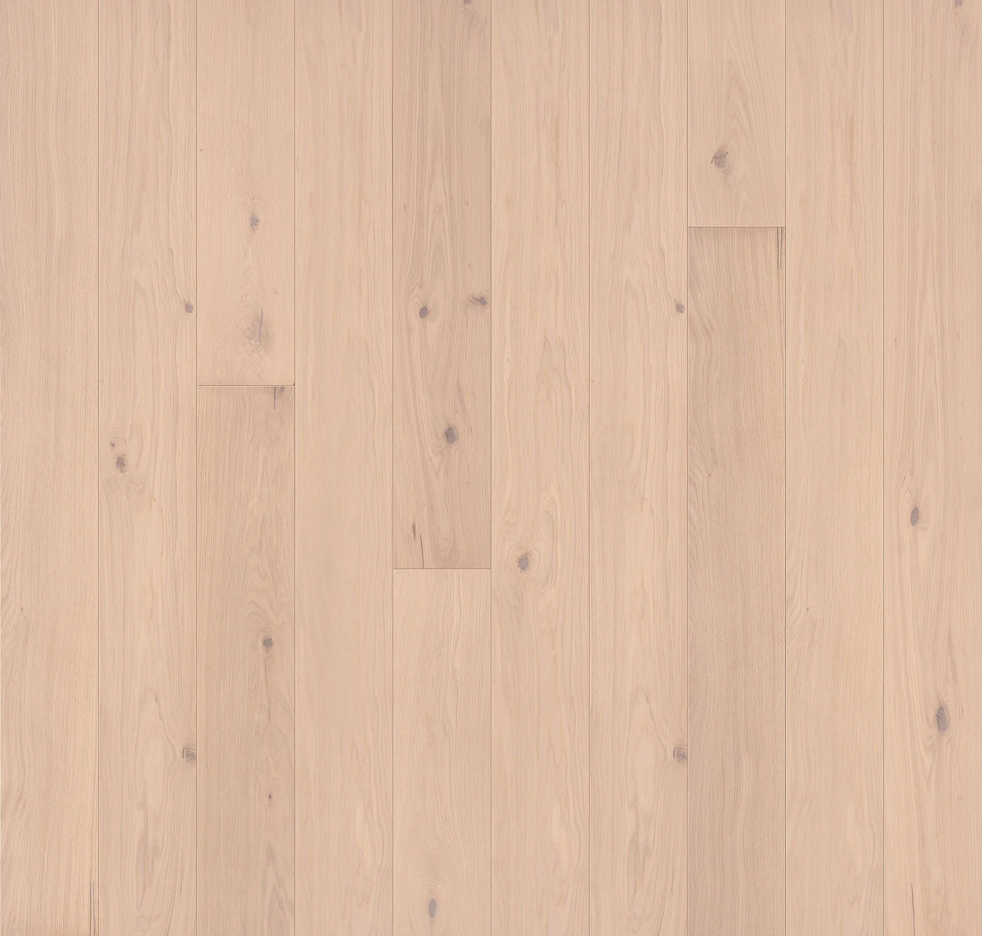 Aria-Hardwood.jpg