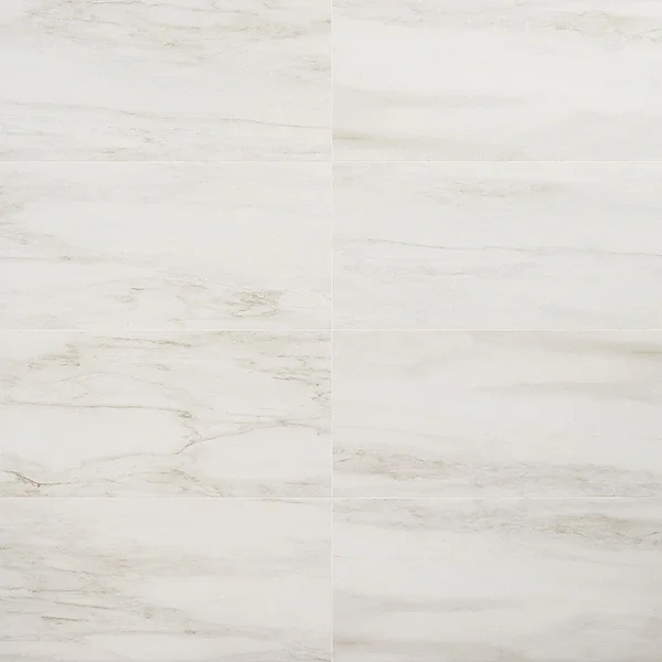 DreamStone Dolomite Snow 12x24 Matte Porcelain Tile3.webp