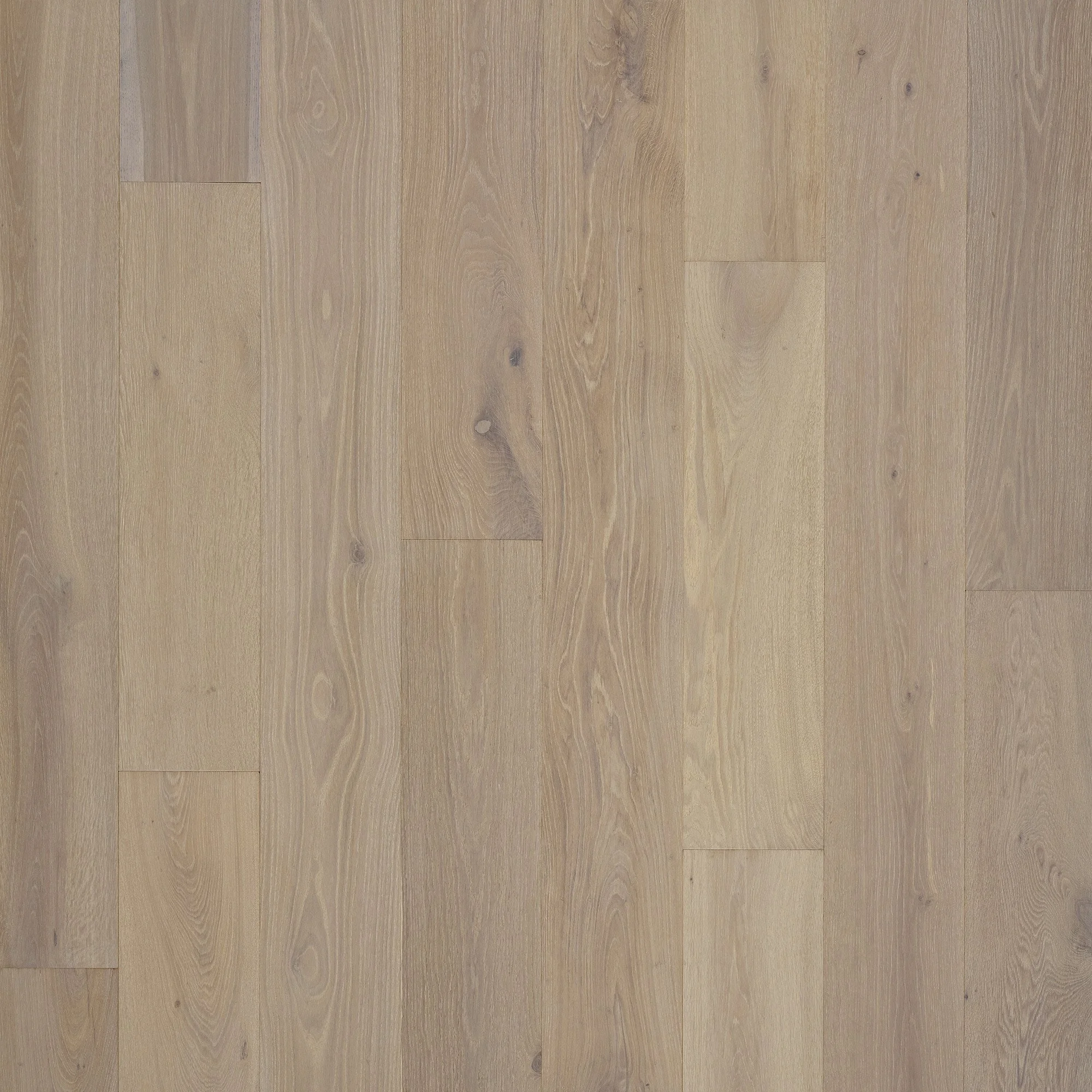 EnchantedOak-Hardwood.jpg