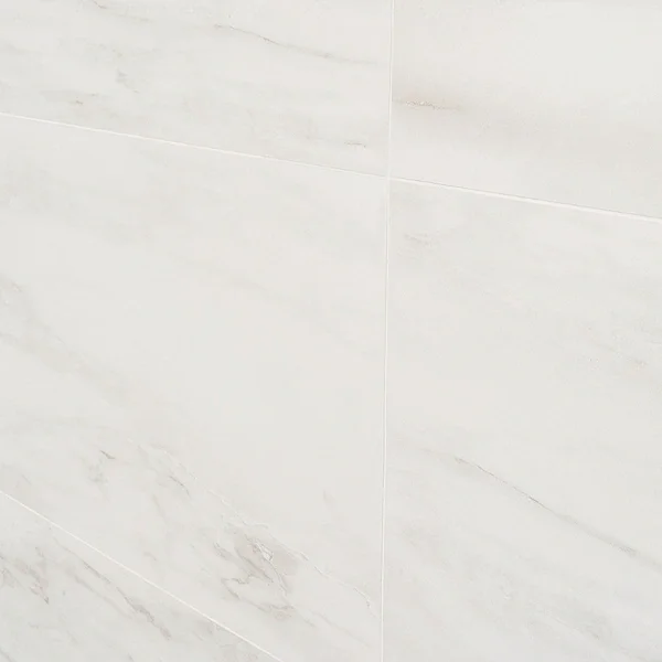 DreamStone Dolomite Snow 12x24 Matte Porcelain Tile5.webp
