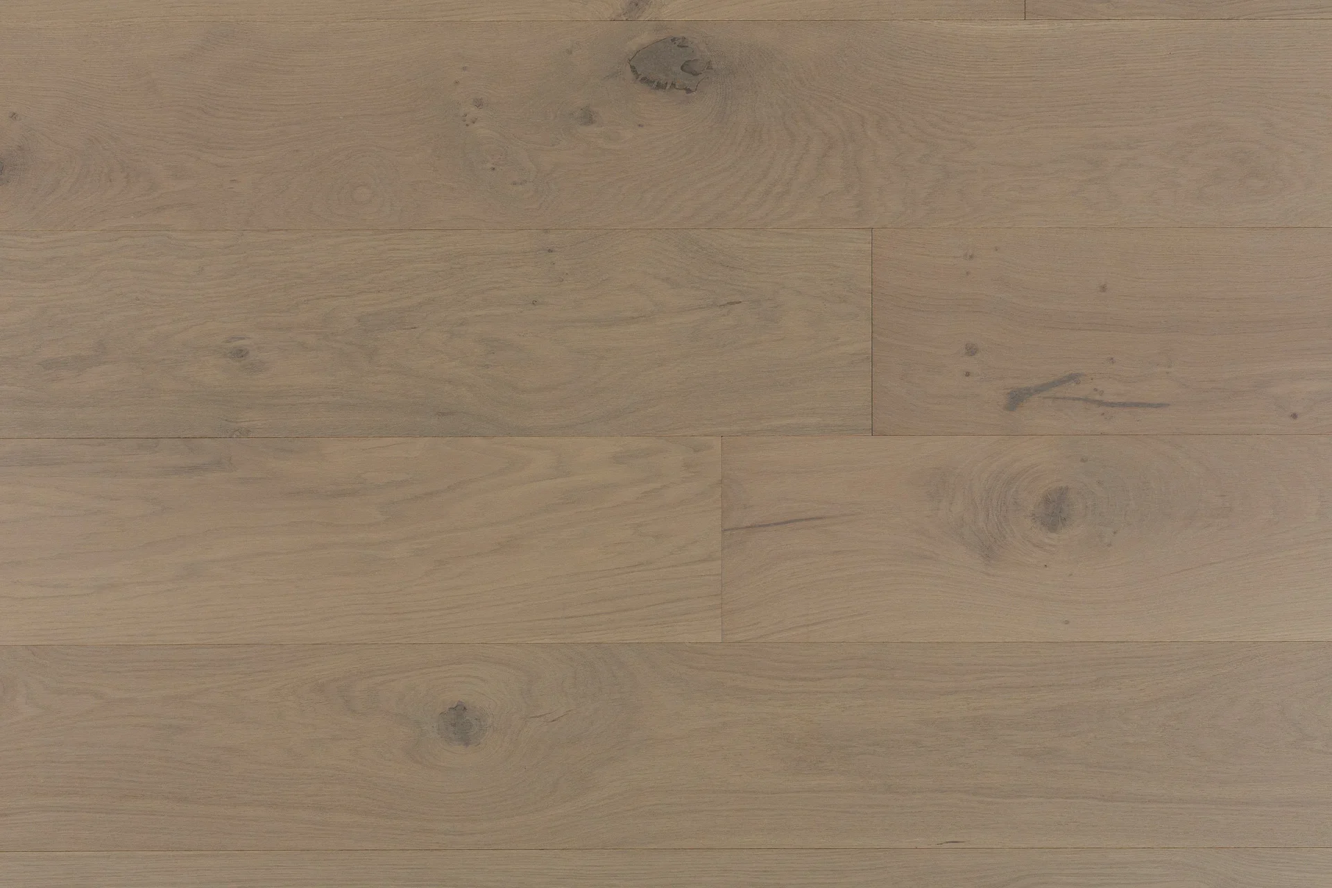 Oak-Capri-Top-1 Bergamo (1).webp