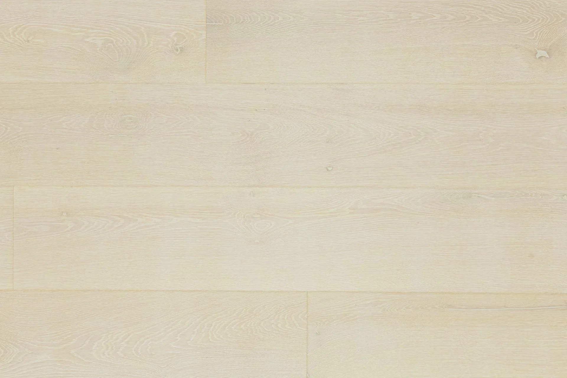 Farini-Top-1 Bergamo.webp