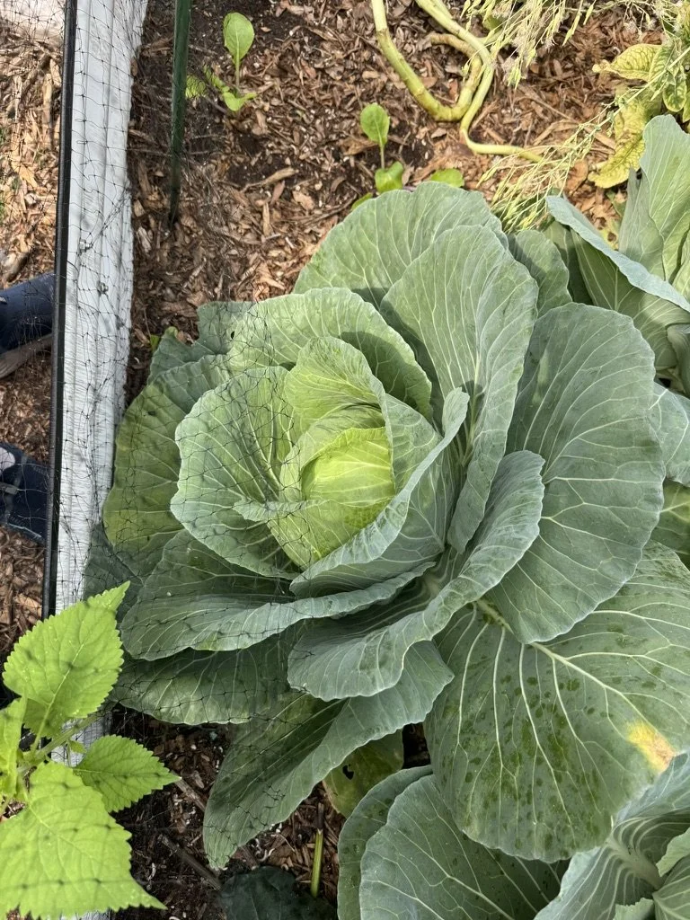 Eco Events in South Florida: February 2026