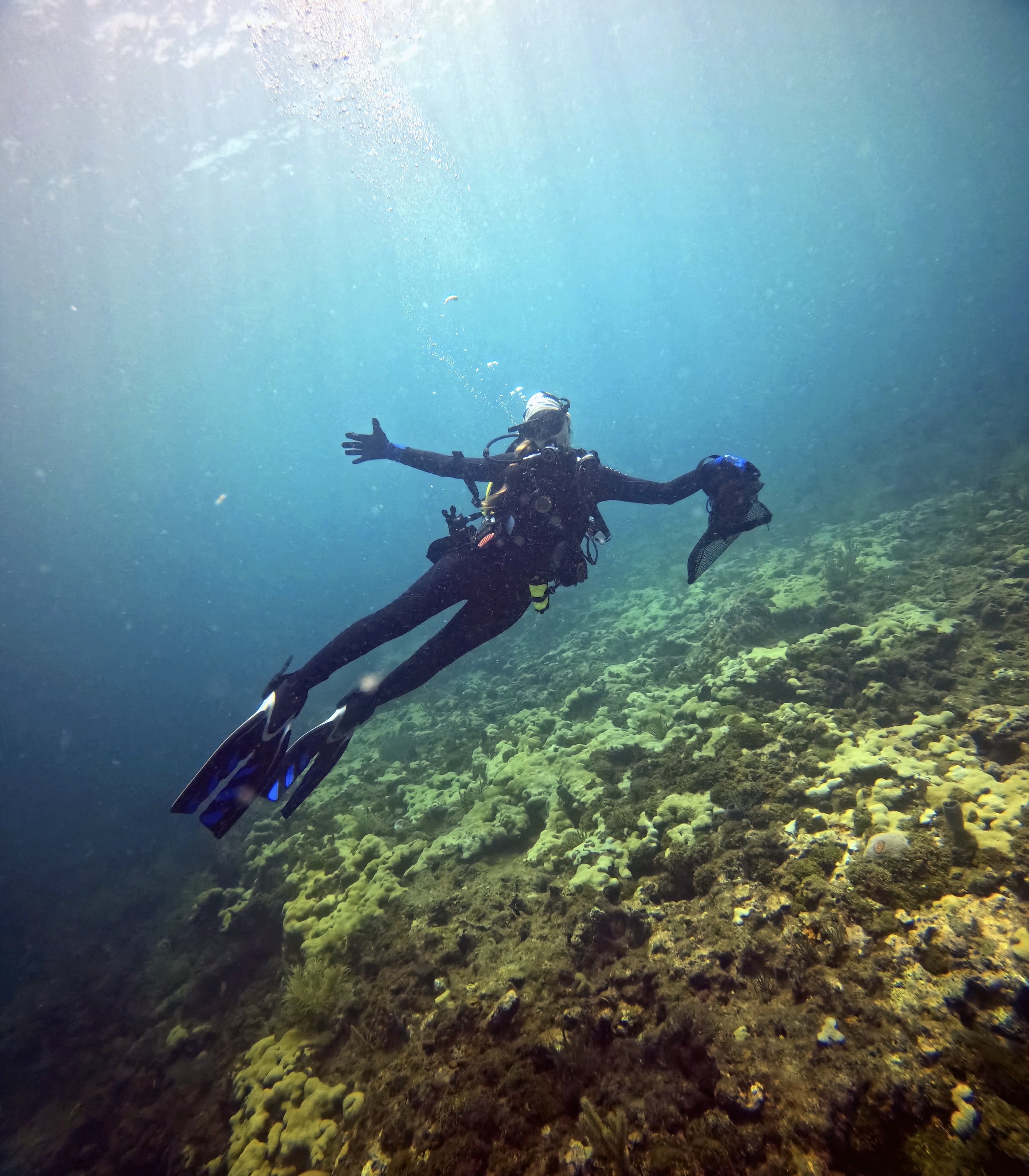 Florida’s Coral Reef: A Historically Undervalued Reef and the “Diving Capital of the World” are at Odds