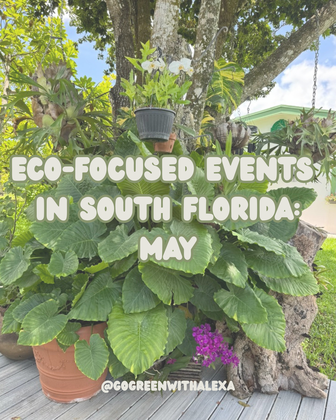 Eco Events in South Florida: May 2026