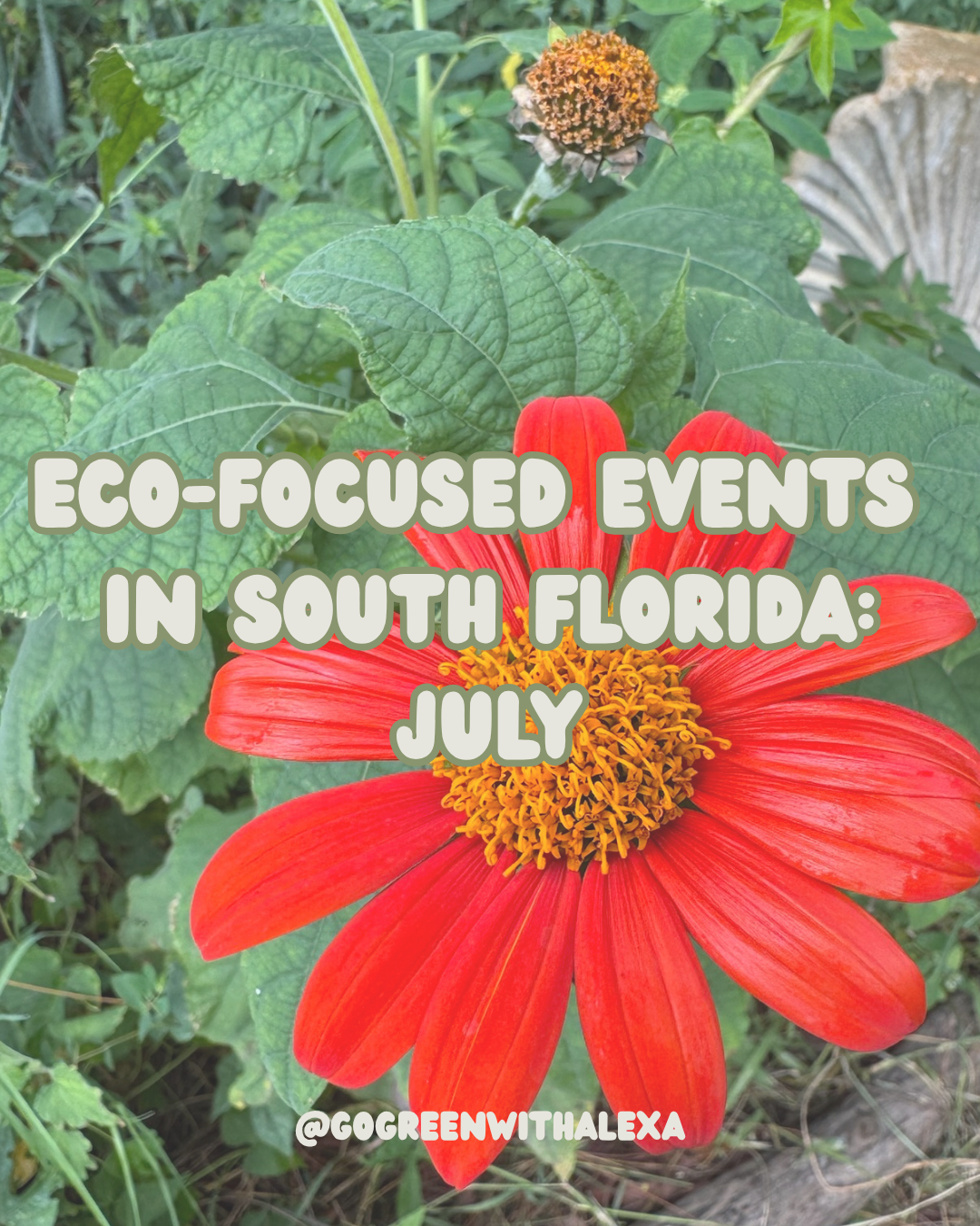Eco Events in South Florida: July 2026