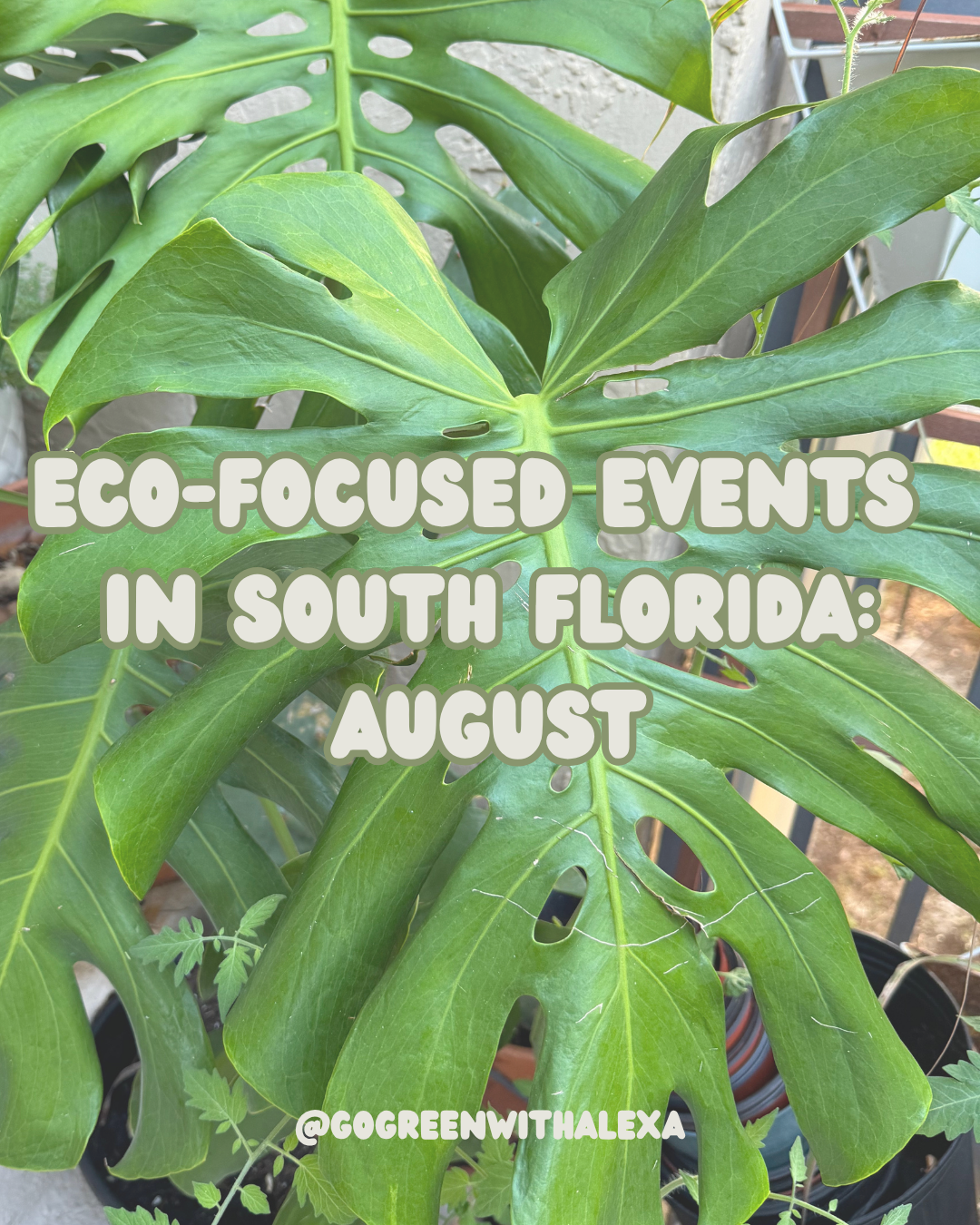 Eco Events in South Florida: August 2026