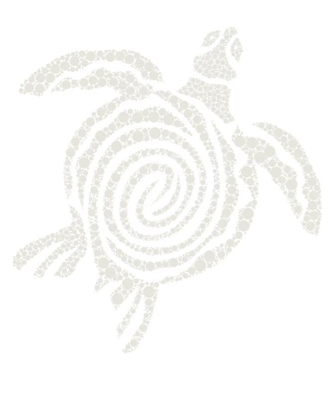 A black and white abstract line drawing of a sea turtle with a spiral shell.