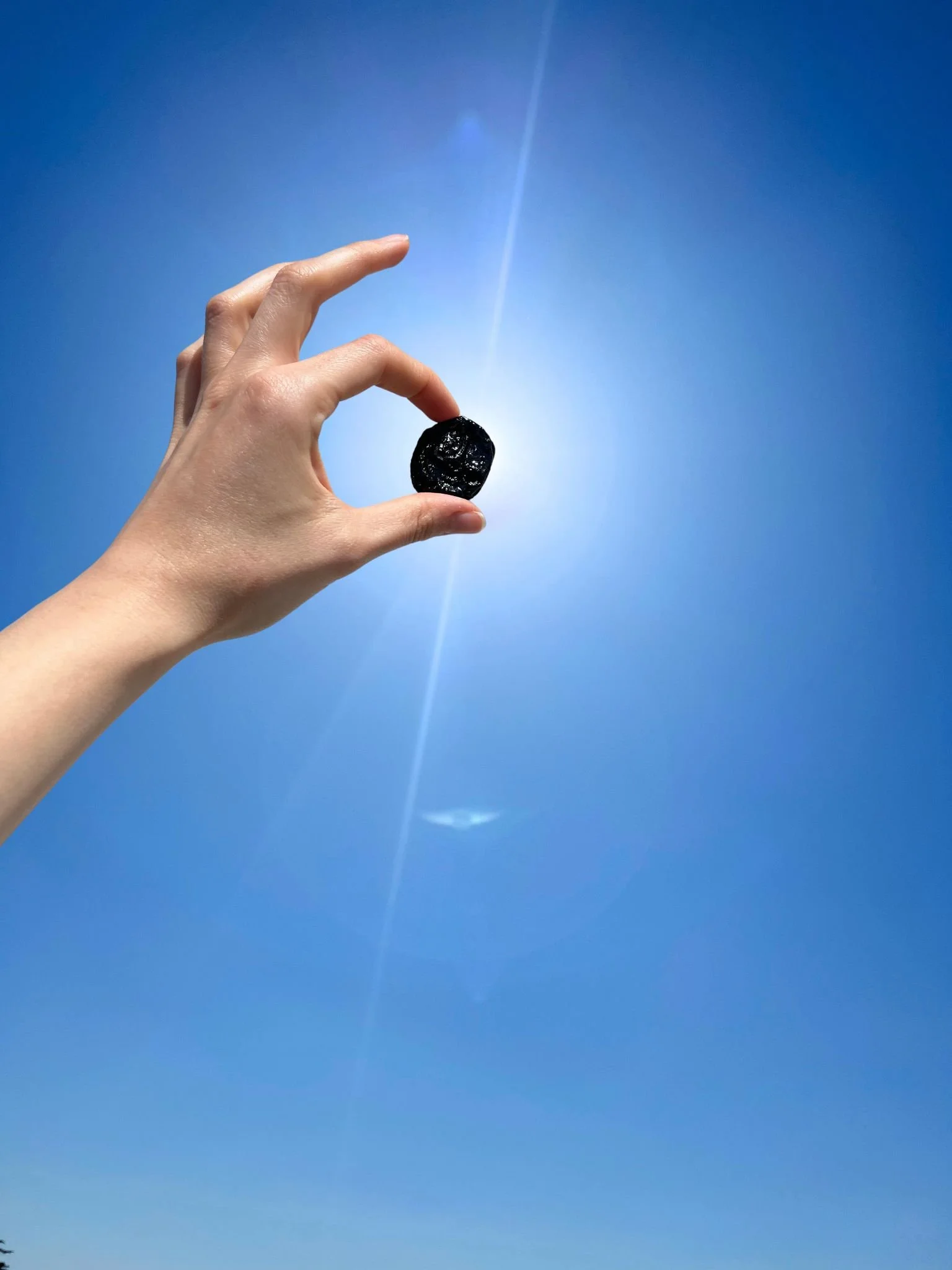 Polyphenol Powerhouses: Beyond Calcium for Bone Health&nbsp;
