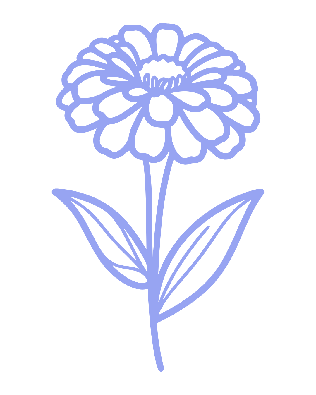 Outline drawing of a flower with a large, rounded bloom and two elongated leaves.